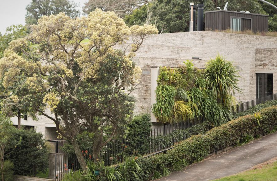 Parnell Home Green Wall