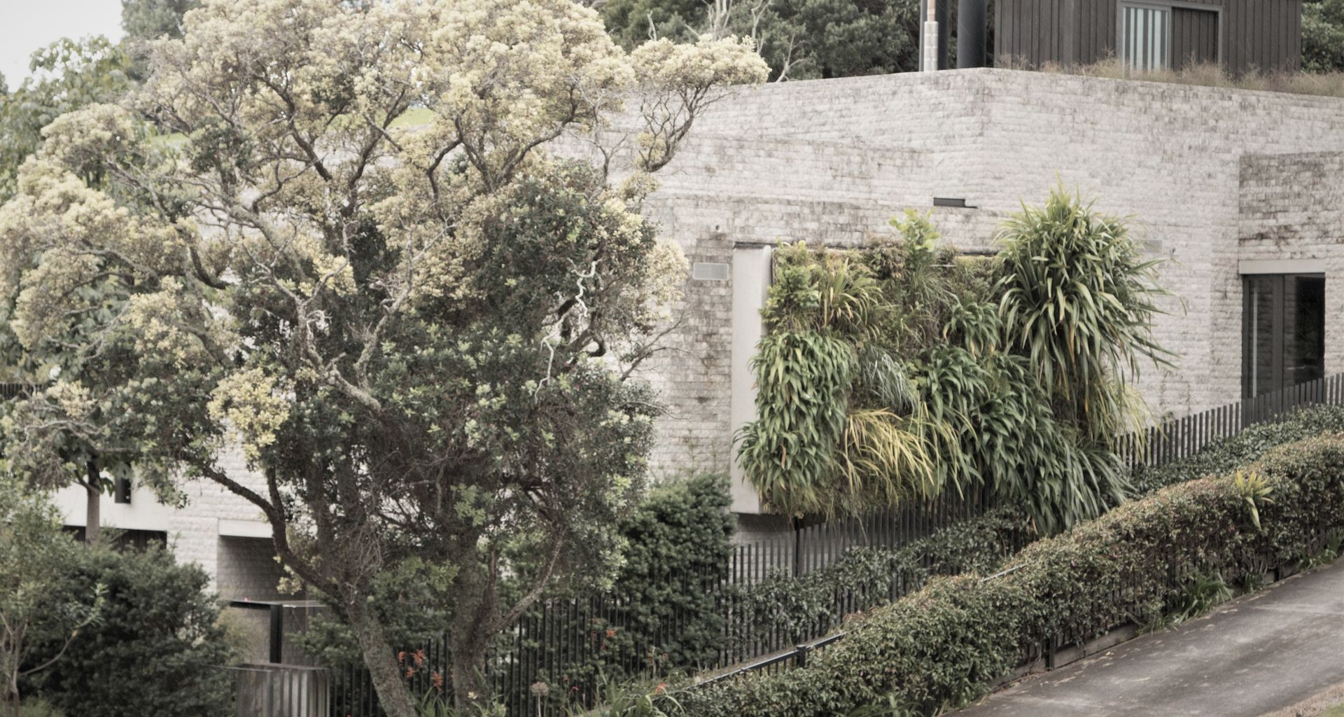 Parnell Home Green Wall banner
