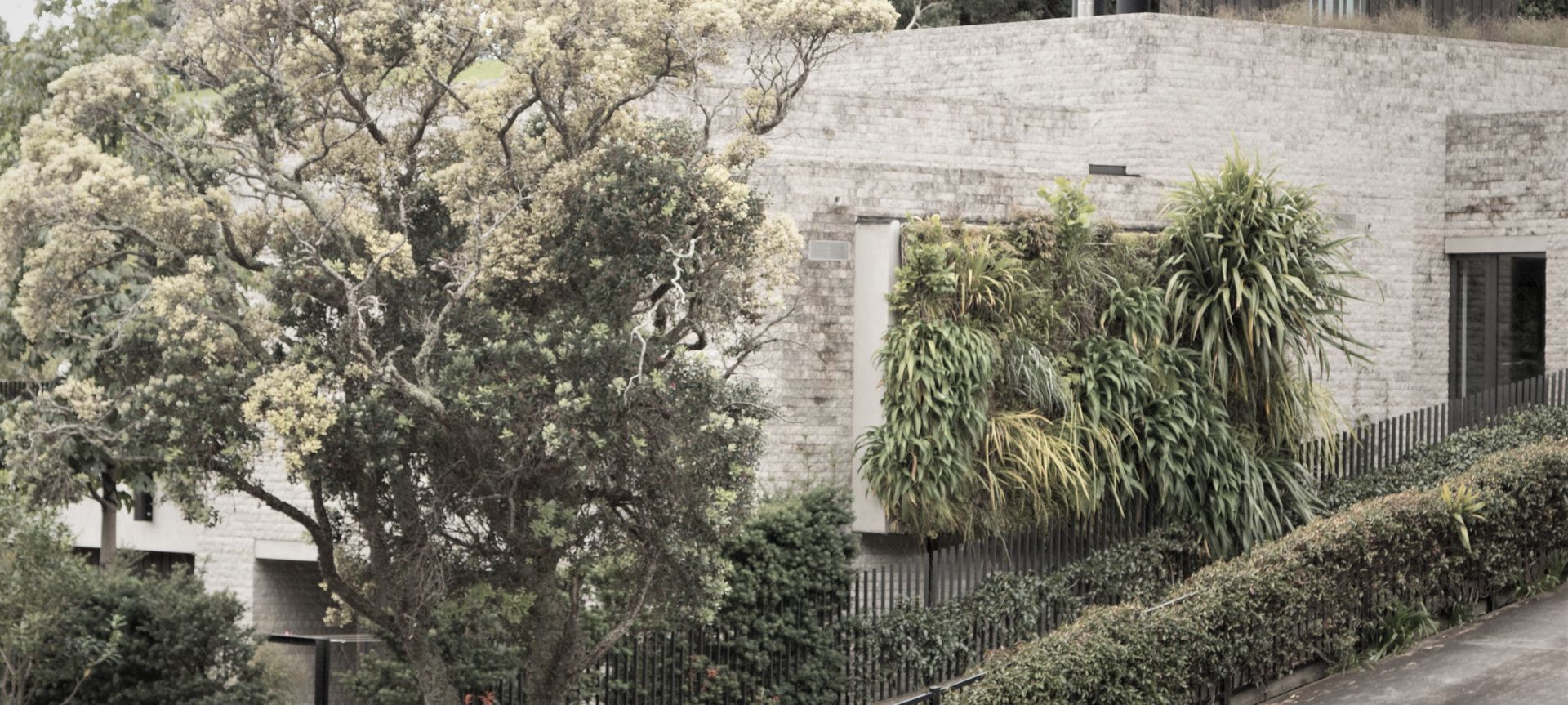 Parnell Home Green Wall banner
