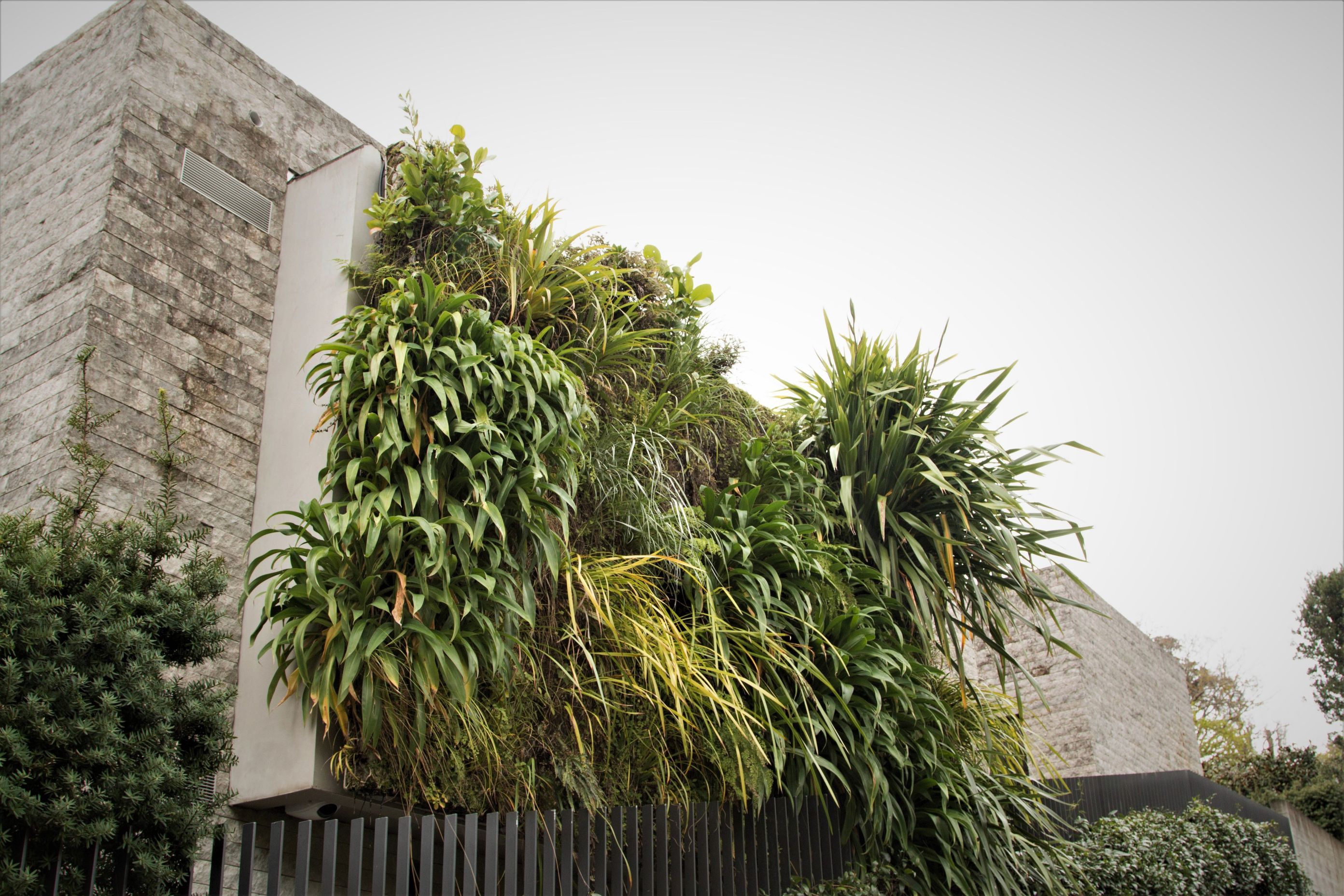 Parnell Green Wall