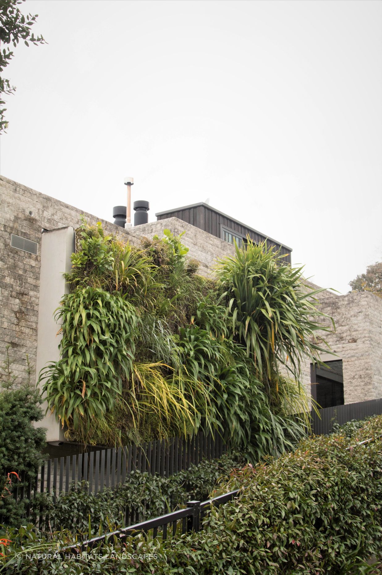 Parnell Green Wall