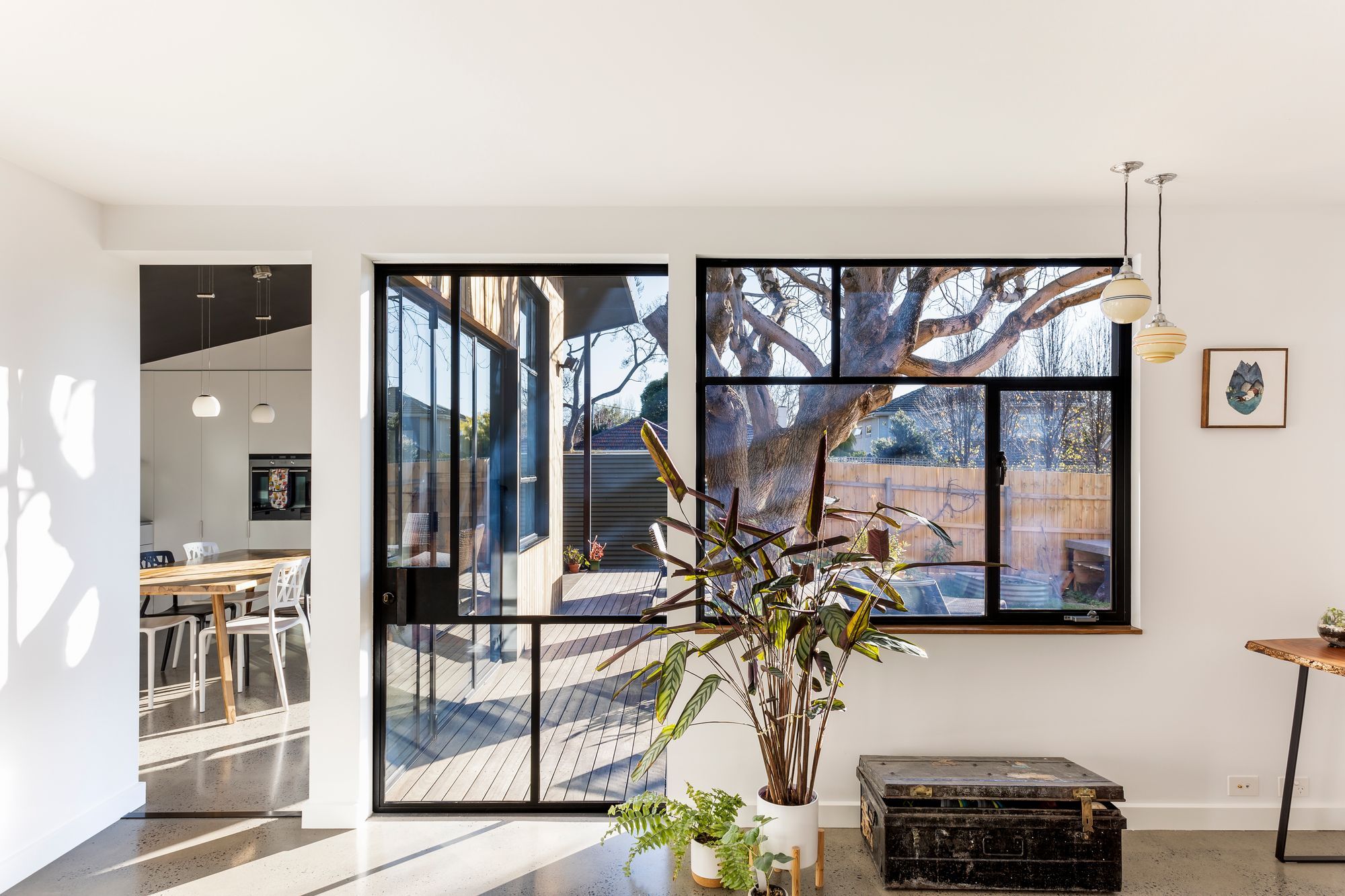 Steel framed windows connect the house to the garden