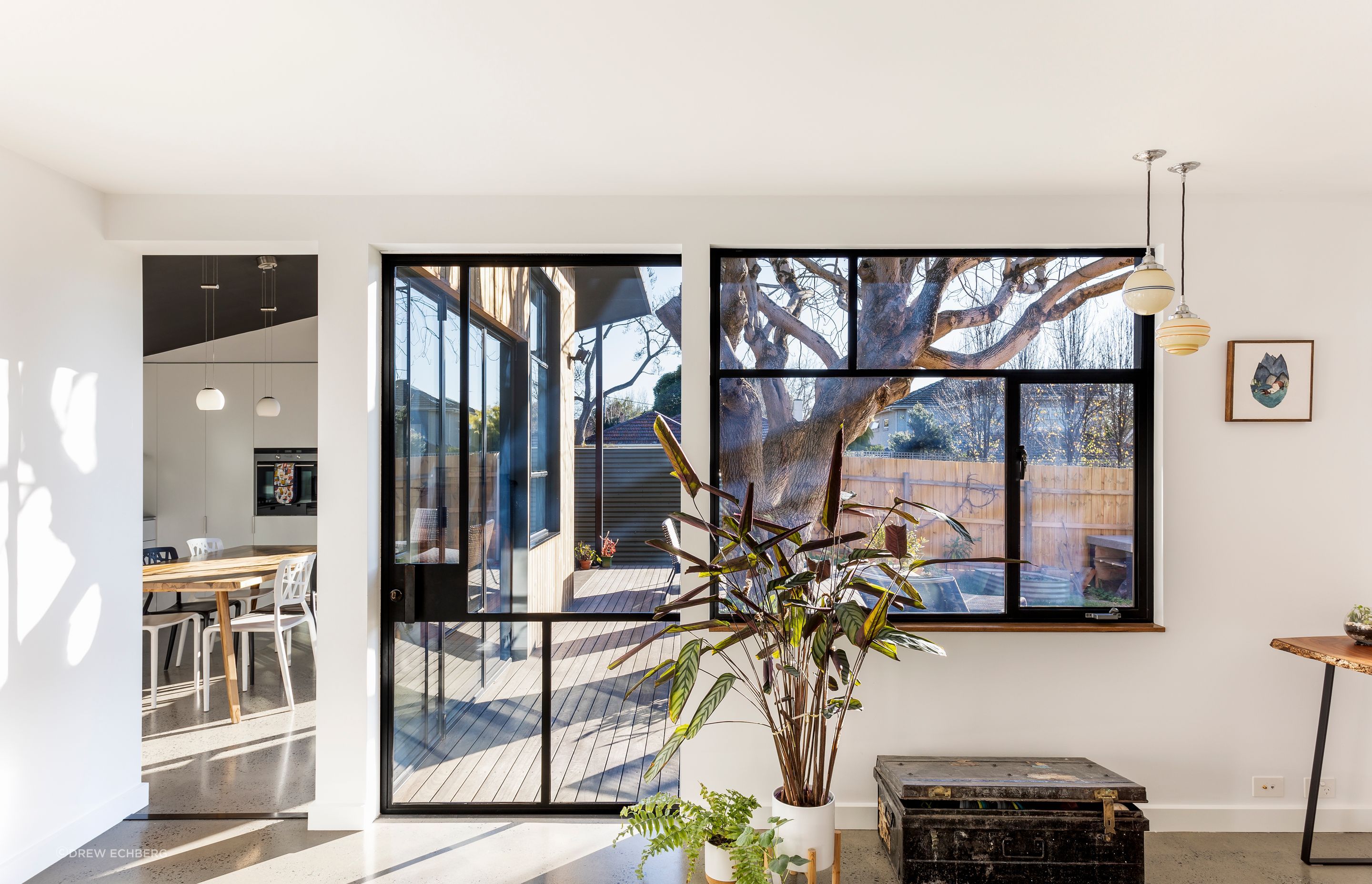 Steel framed windows connect the house to the garden