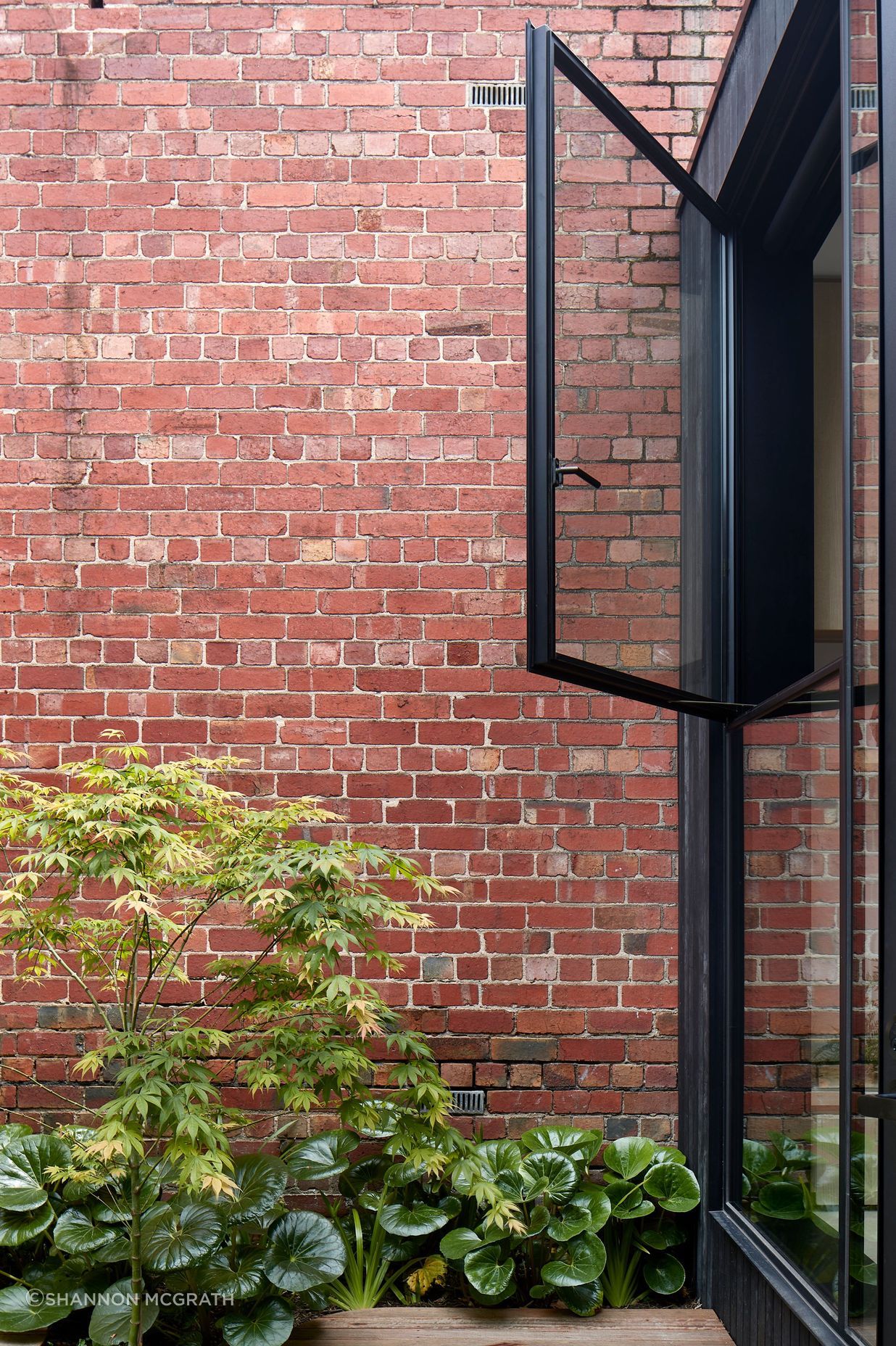 Clifton Hill Courtyard House