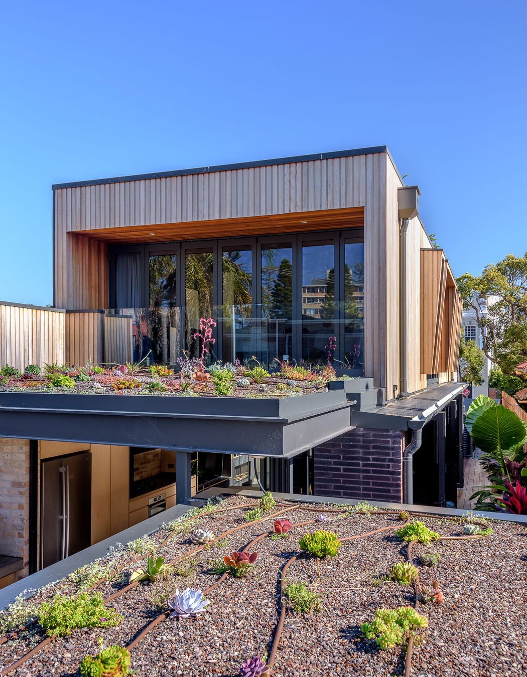 Zyan House