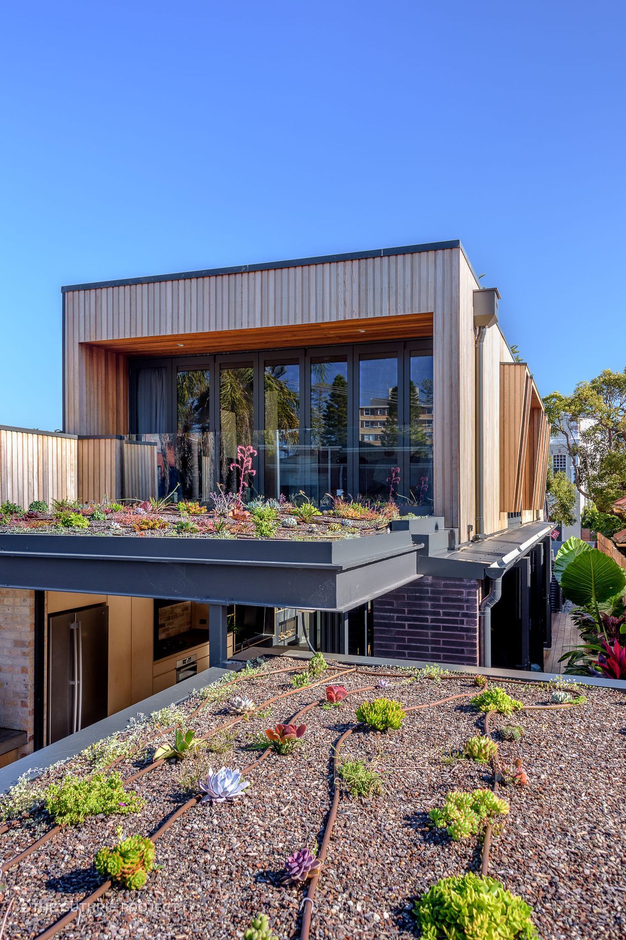Zyan House