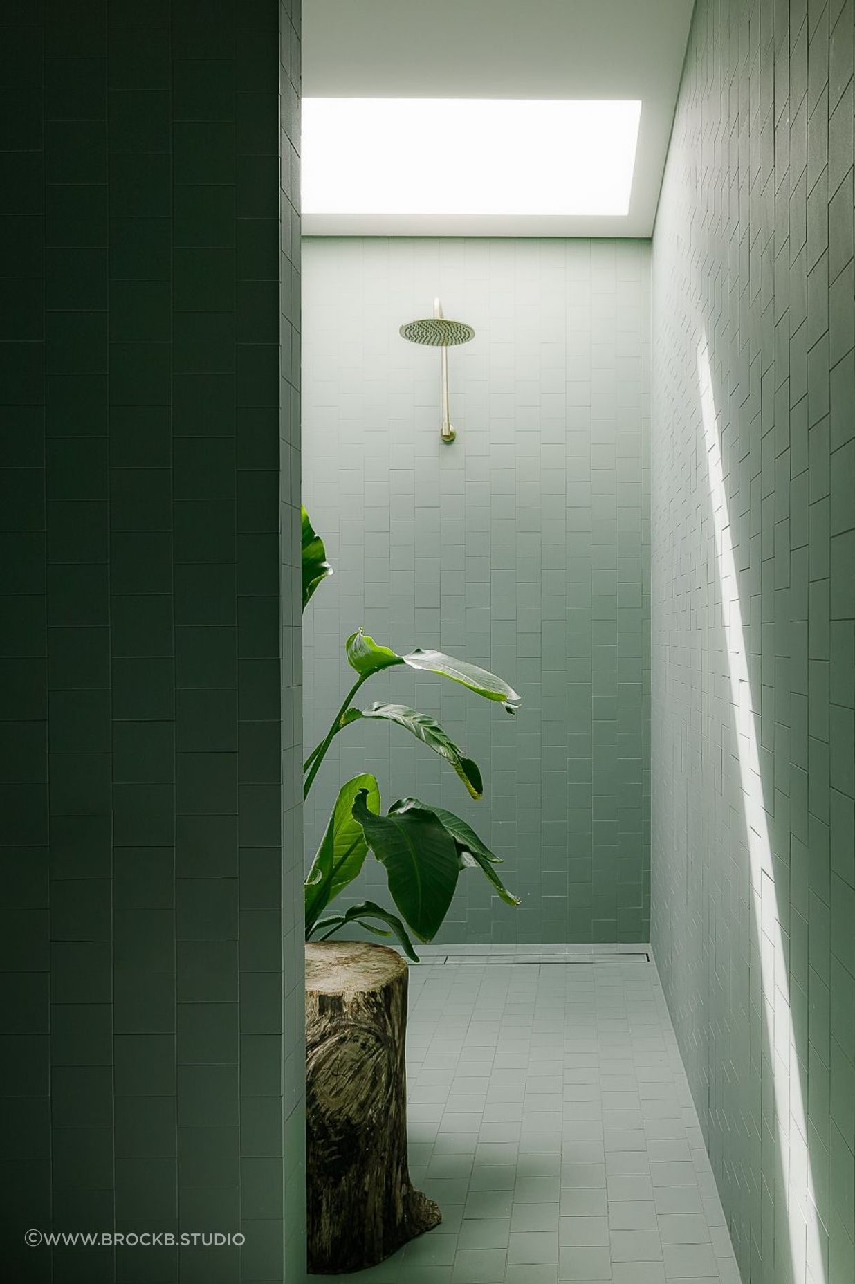 O4A4363-Editchalmers-web-insta.jpg