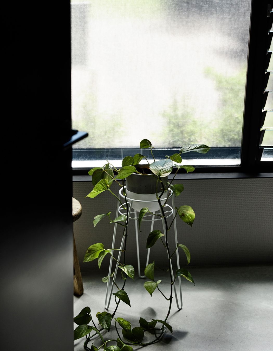 Photography: Derek Swalwell