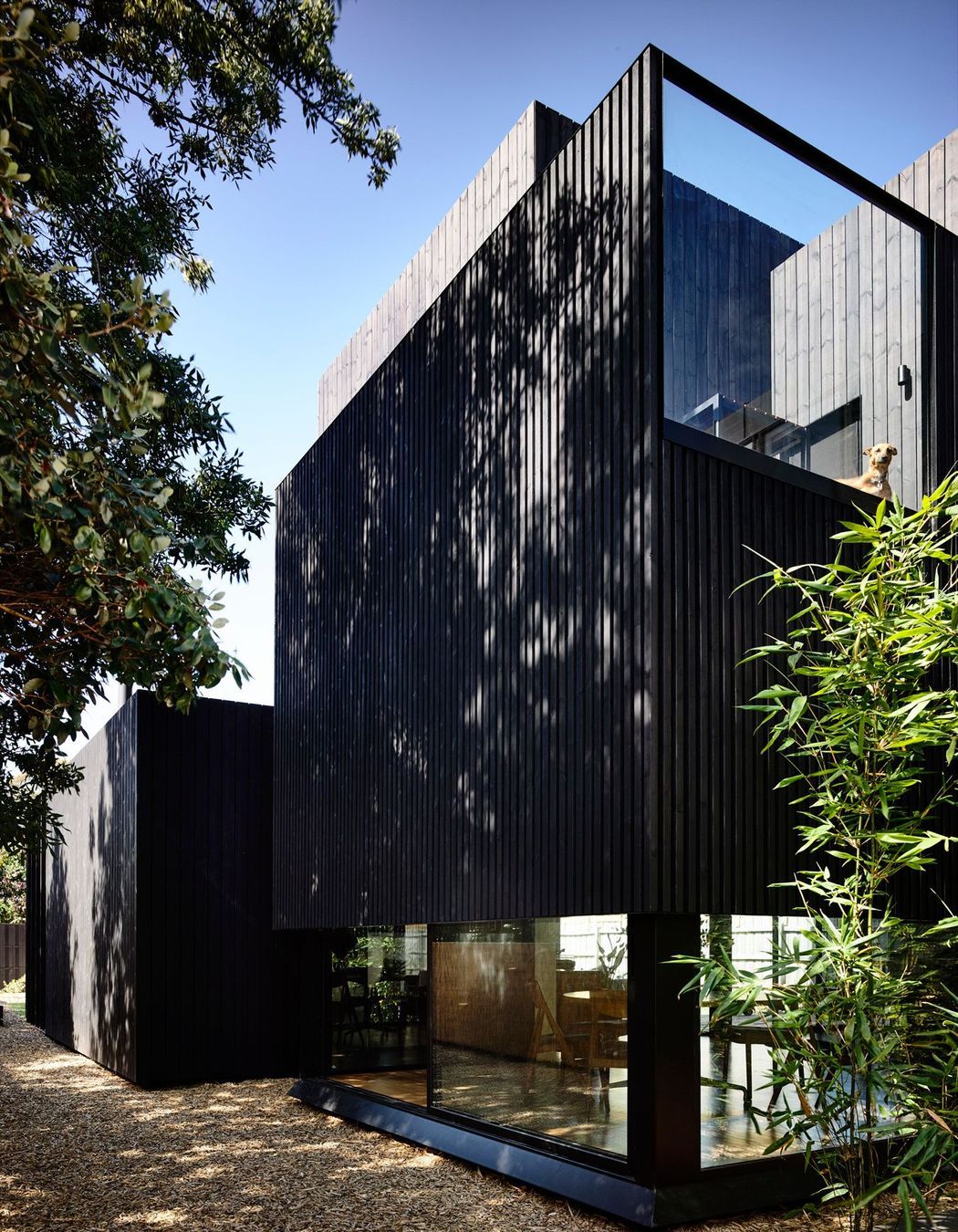 Photography: Derek Swalwell