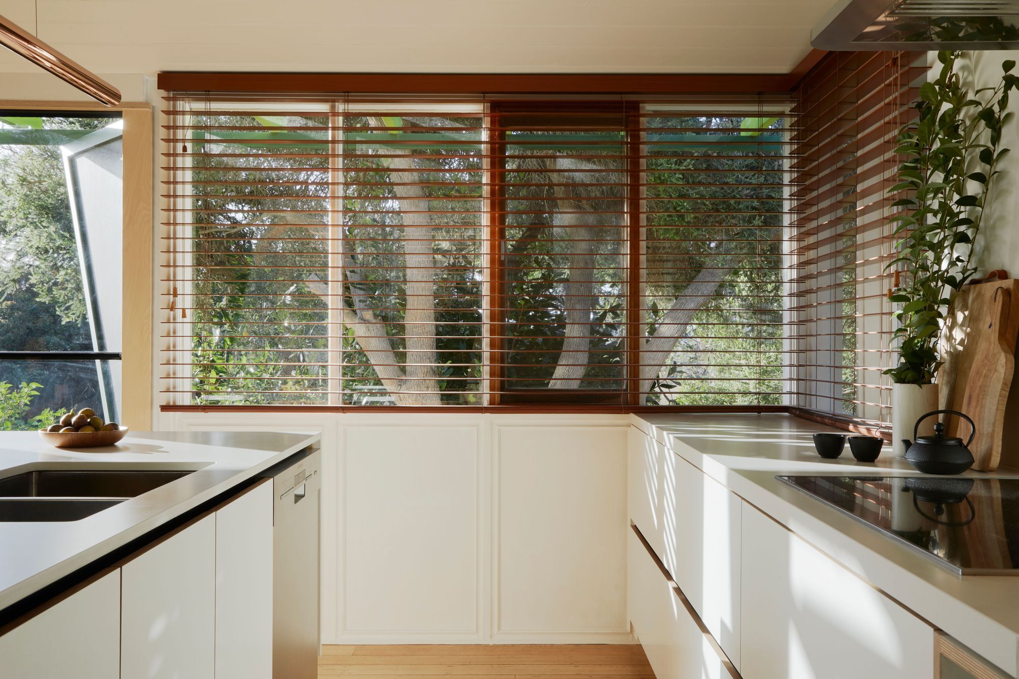 Green Shutter House
