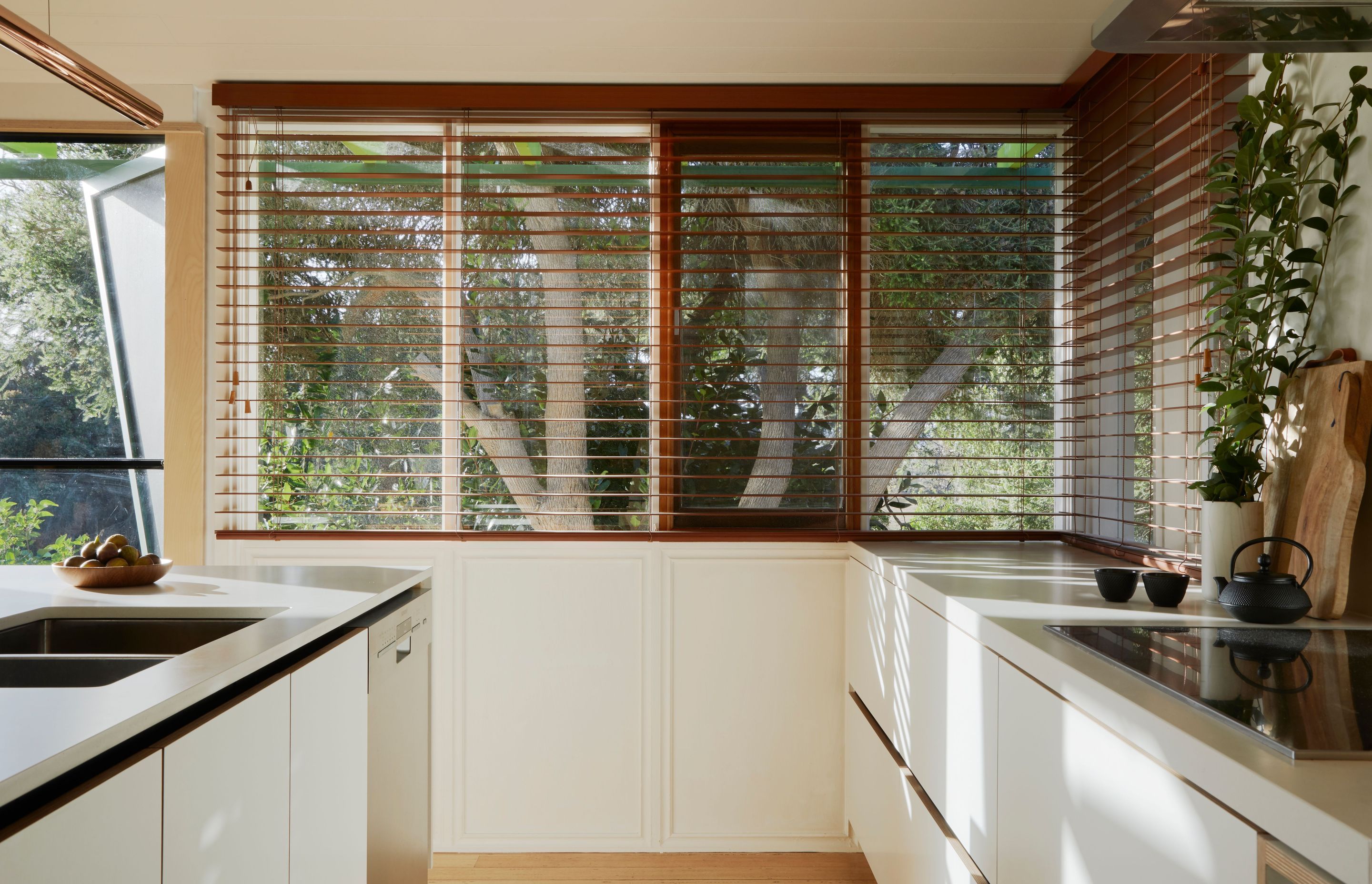 Green Shutter House