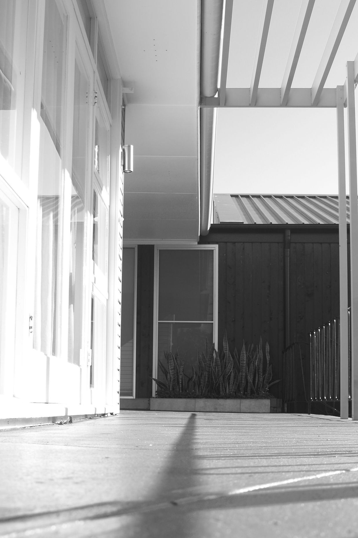 P1011169.JPG