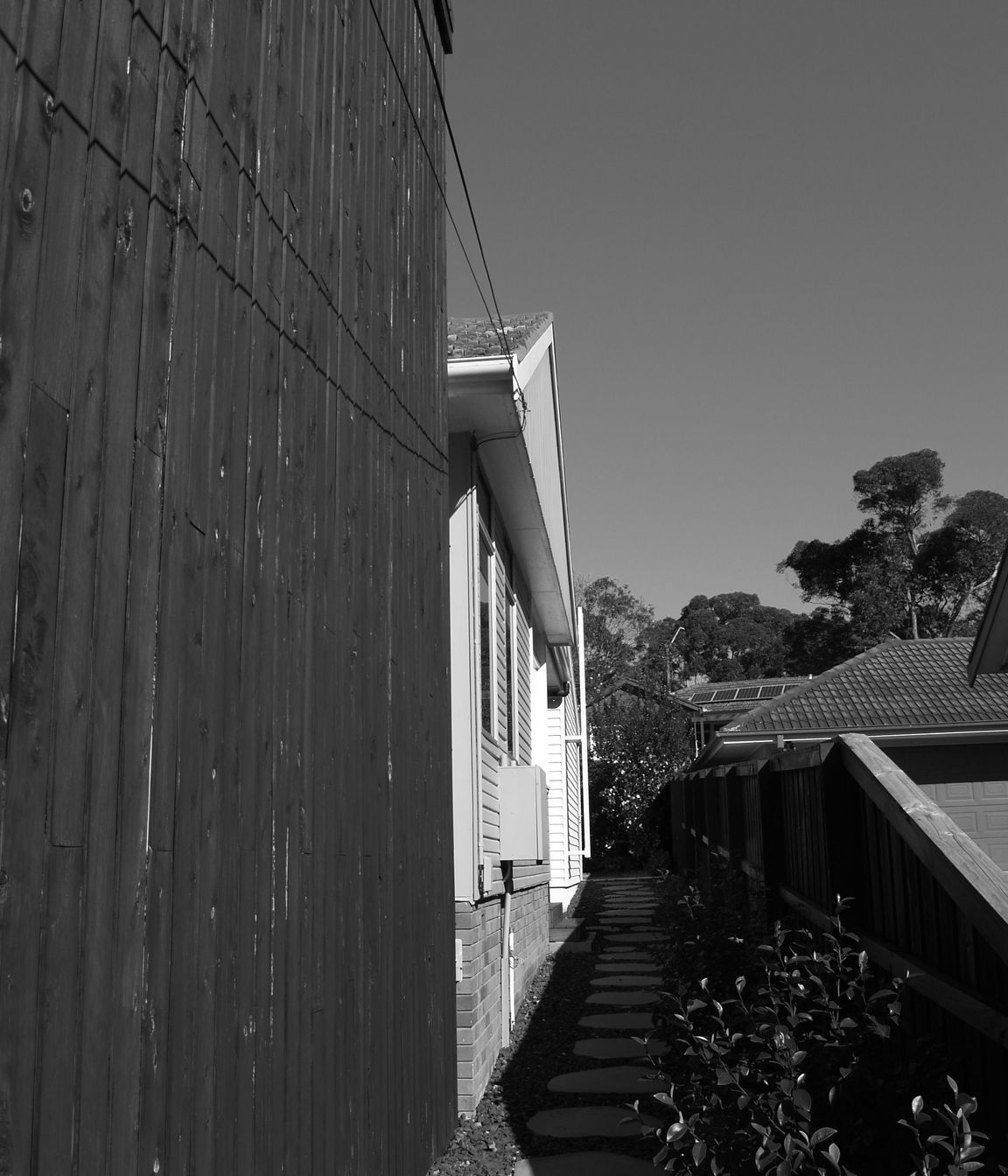P1011241.JPG
