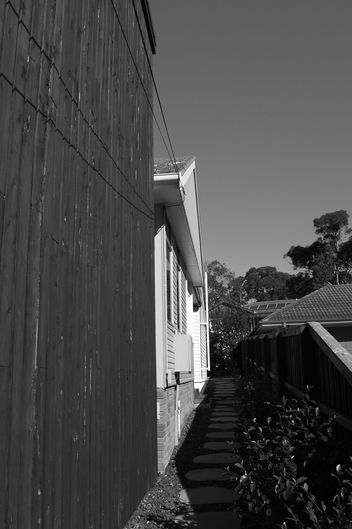 P1011241.JPG