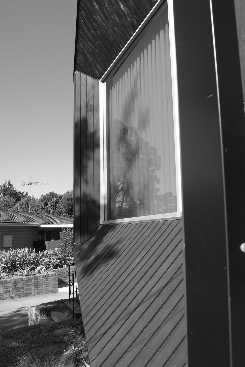 P1011243.JPG