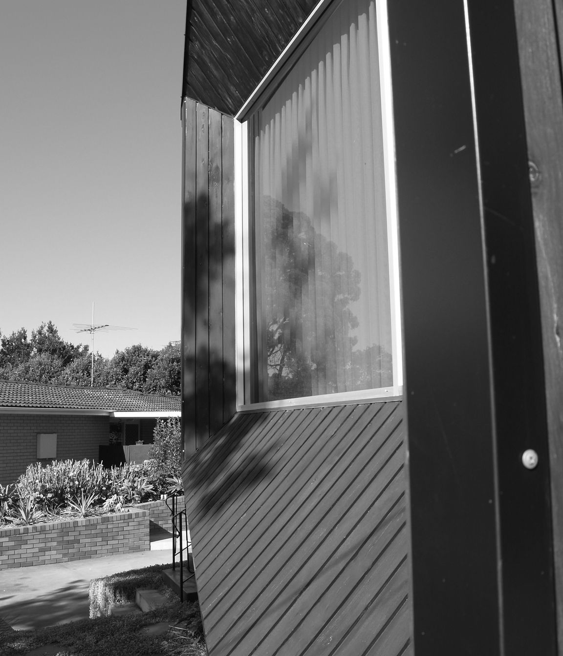 P1011243.JPG