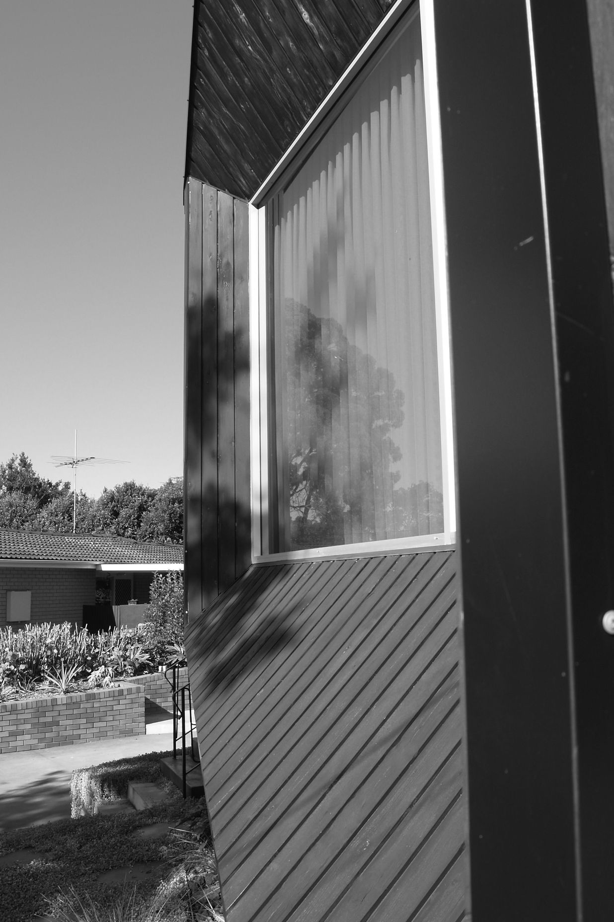 P1011243.JPG