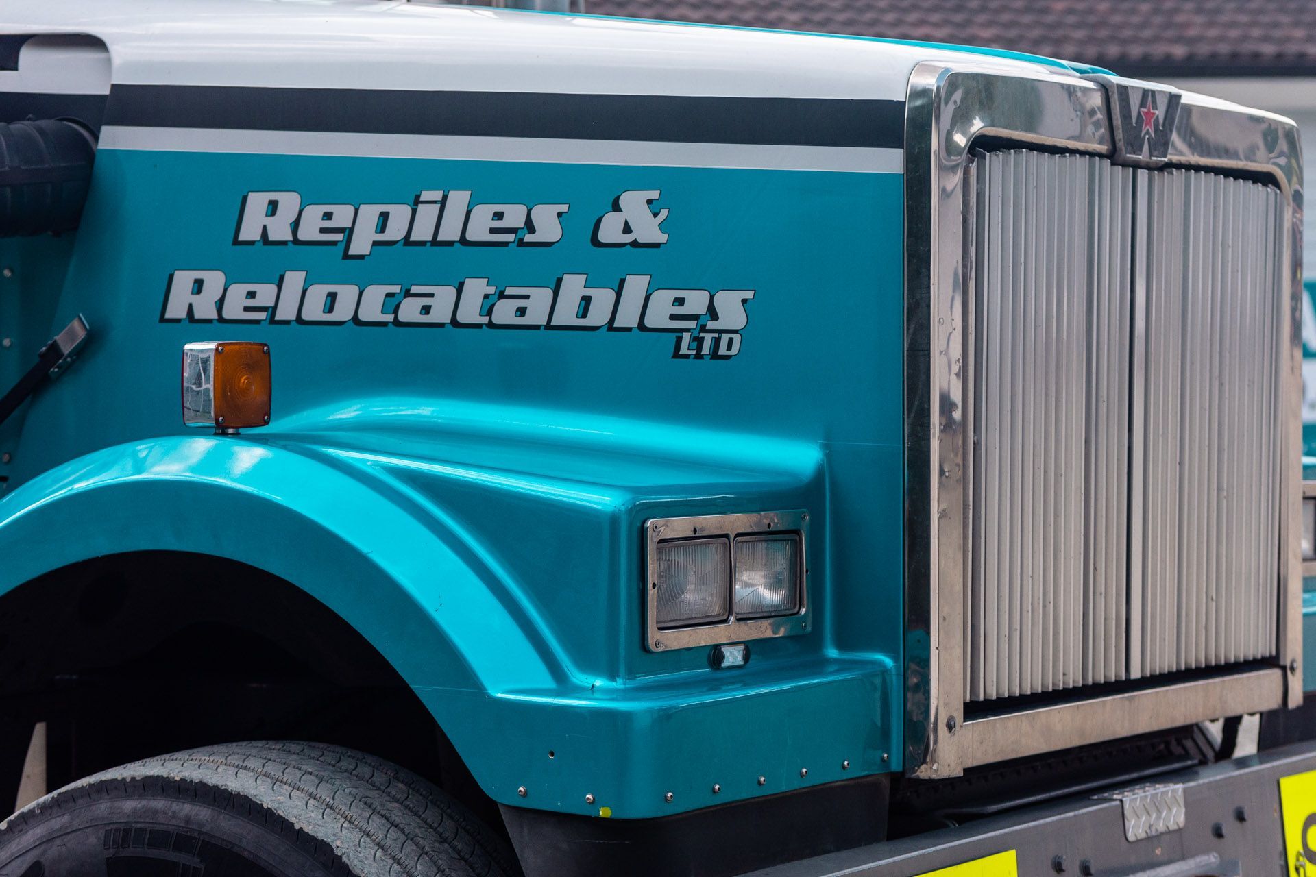 Repiles & Relocatables - Marketing Photography