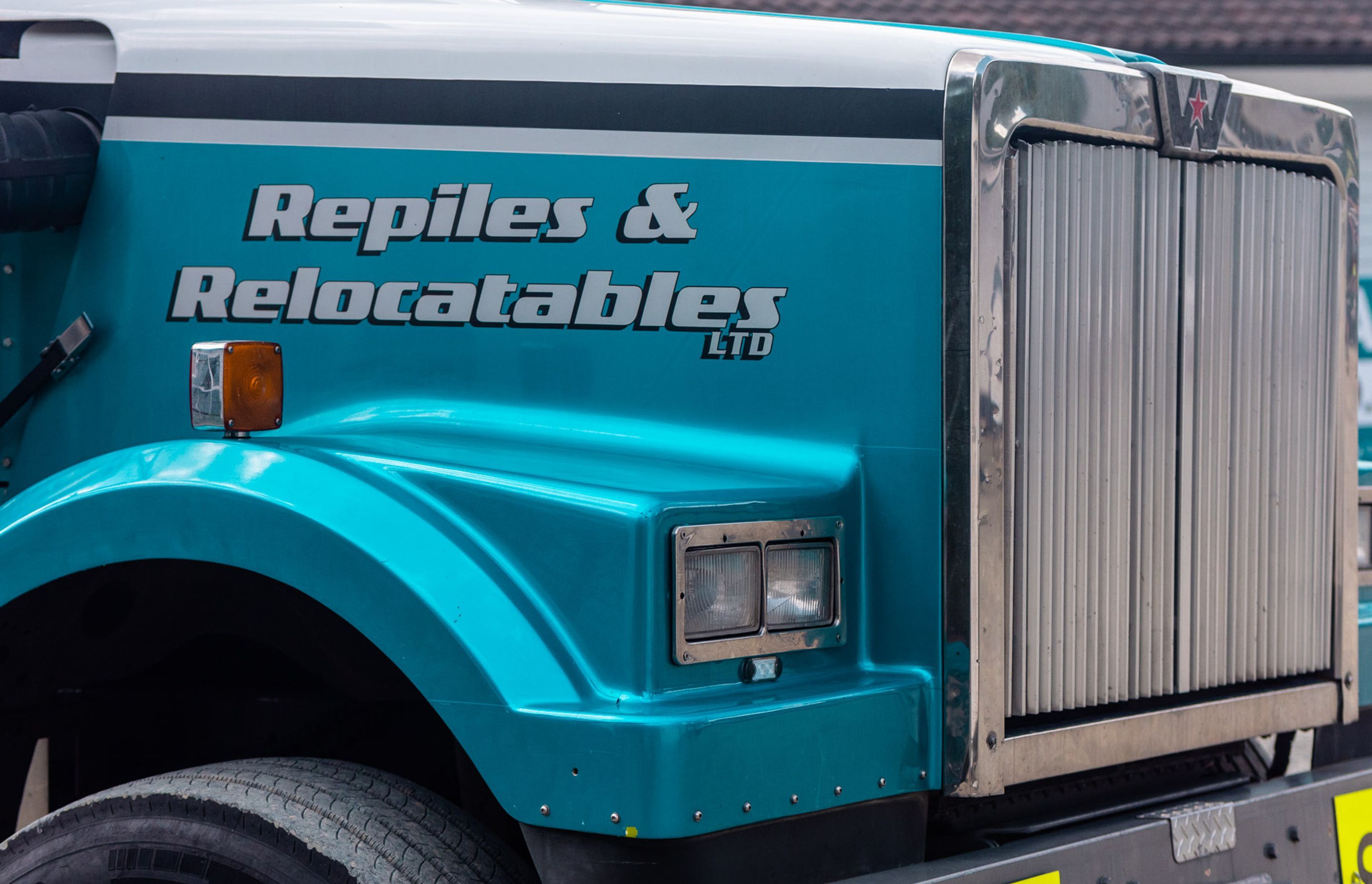 Repiles & Relocatables - Marketing Photography