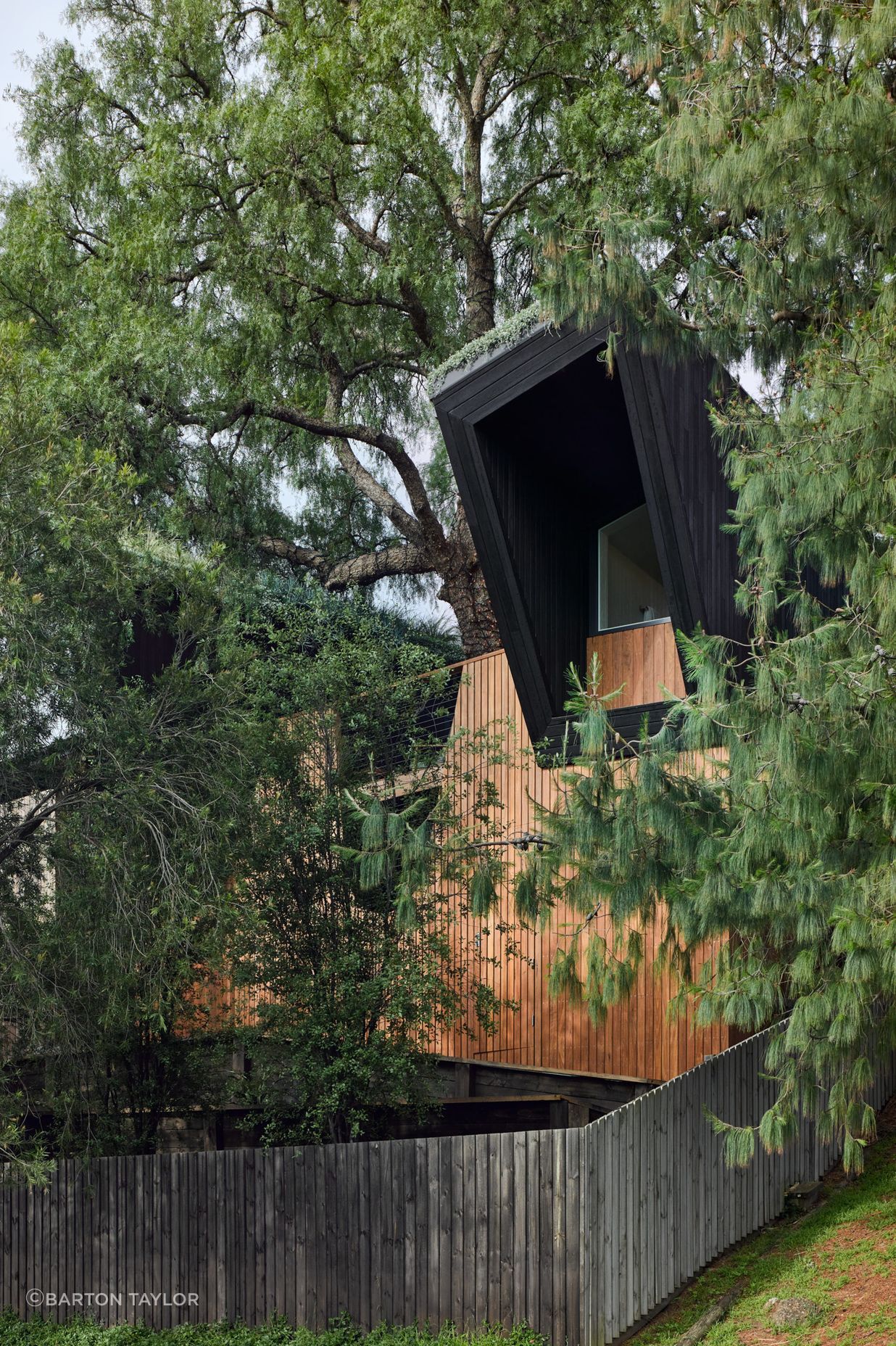 Pepper Tree Passive House