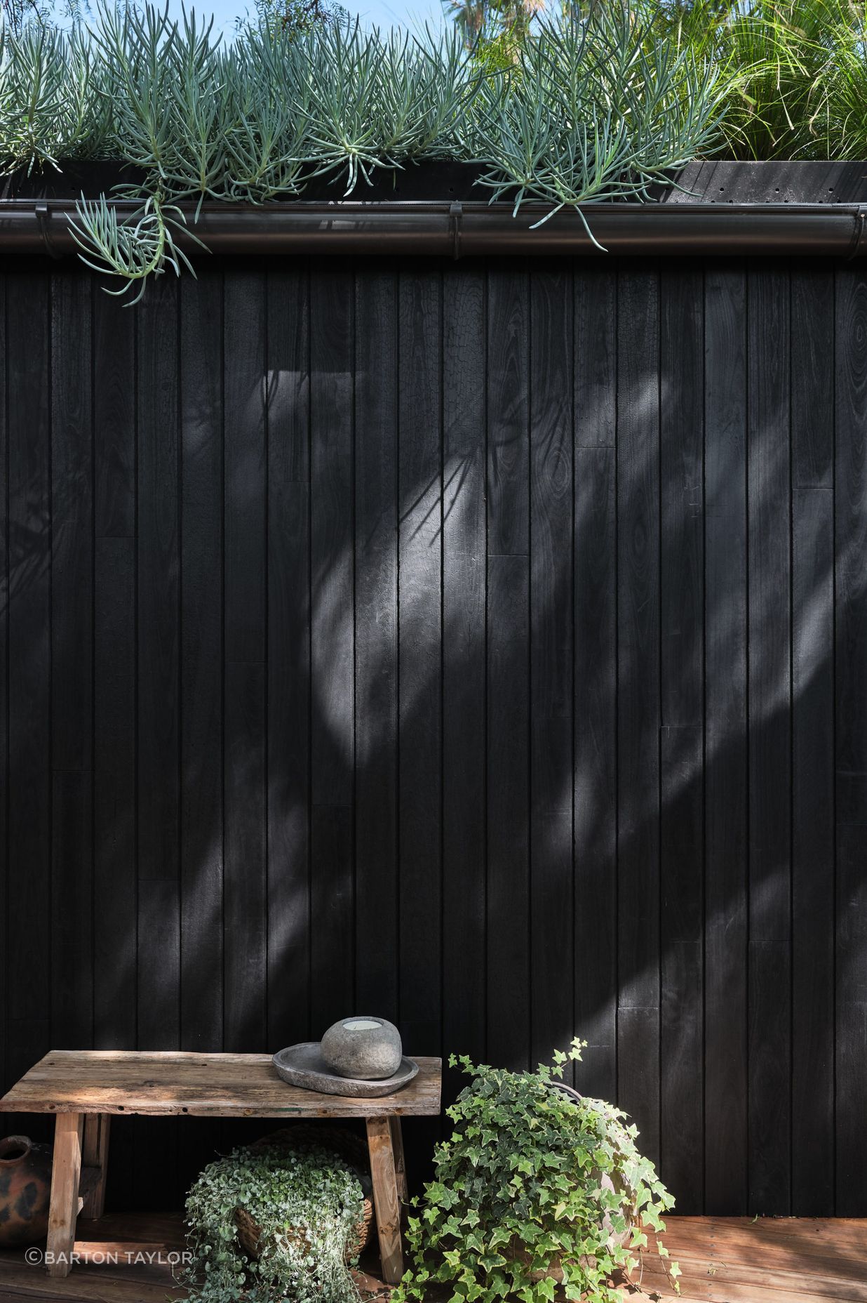 Pepper Tree Passive House