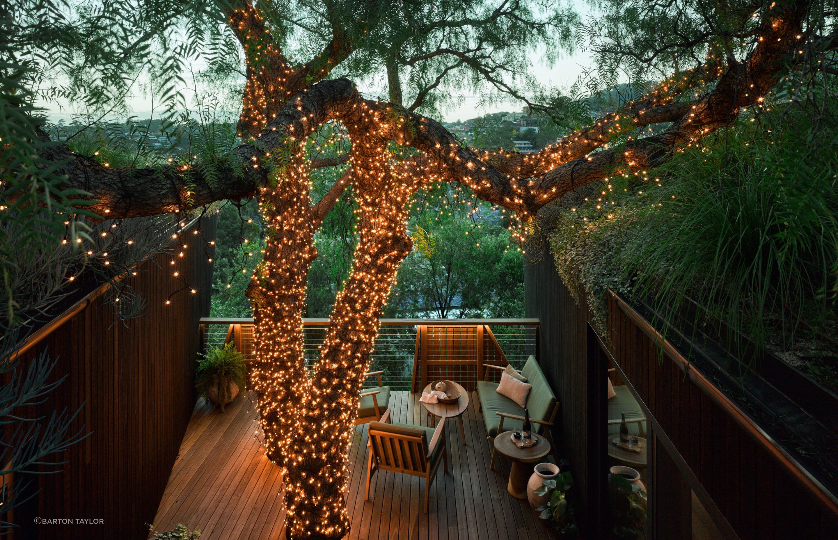 Pepper Tree Passive House