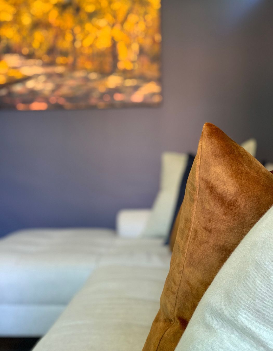 Bayswater Interior Design Beauty