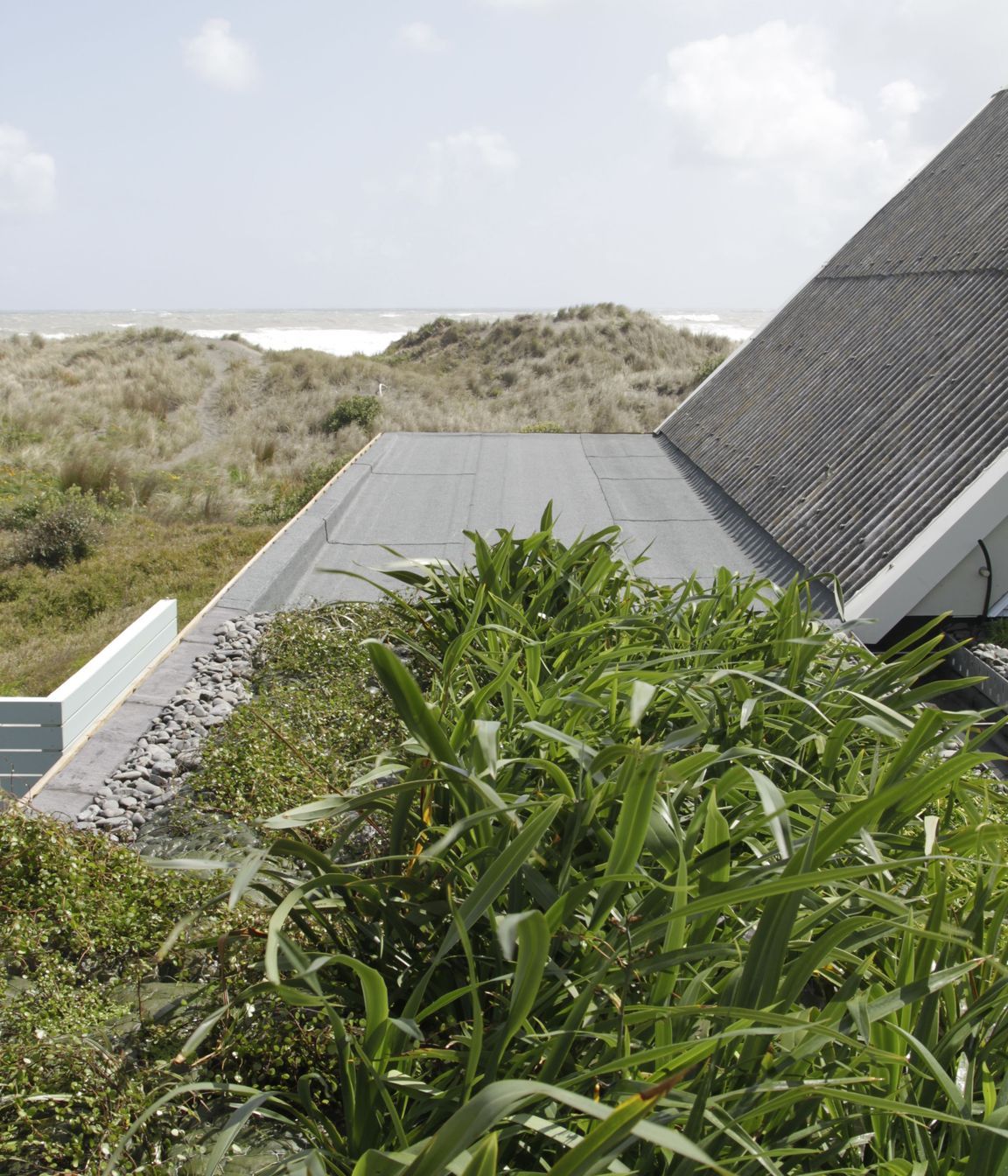 Port Waikato Home Green Roof