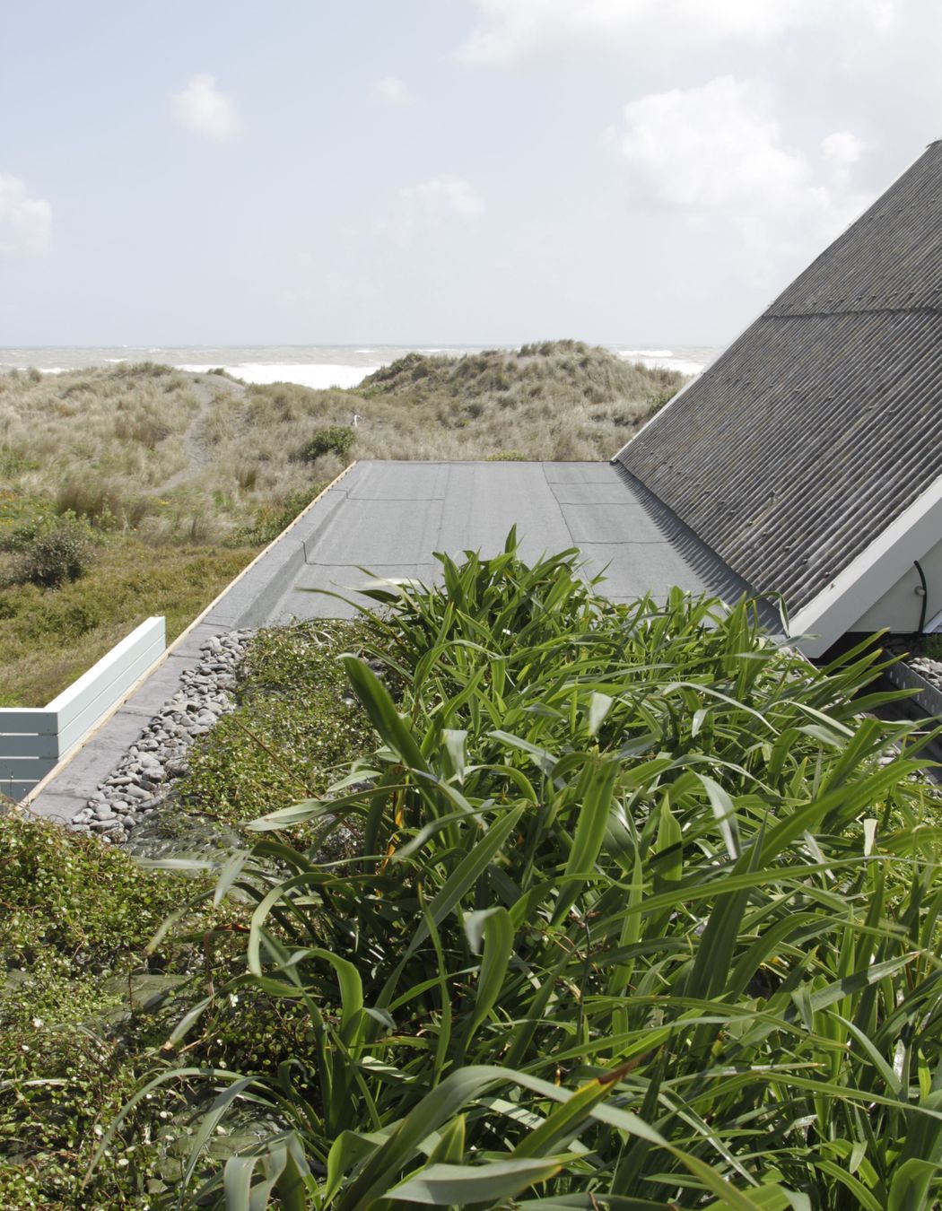 Port Waikato Home Green Roof