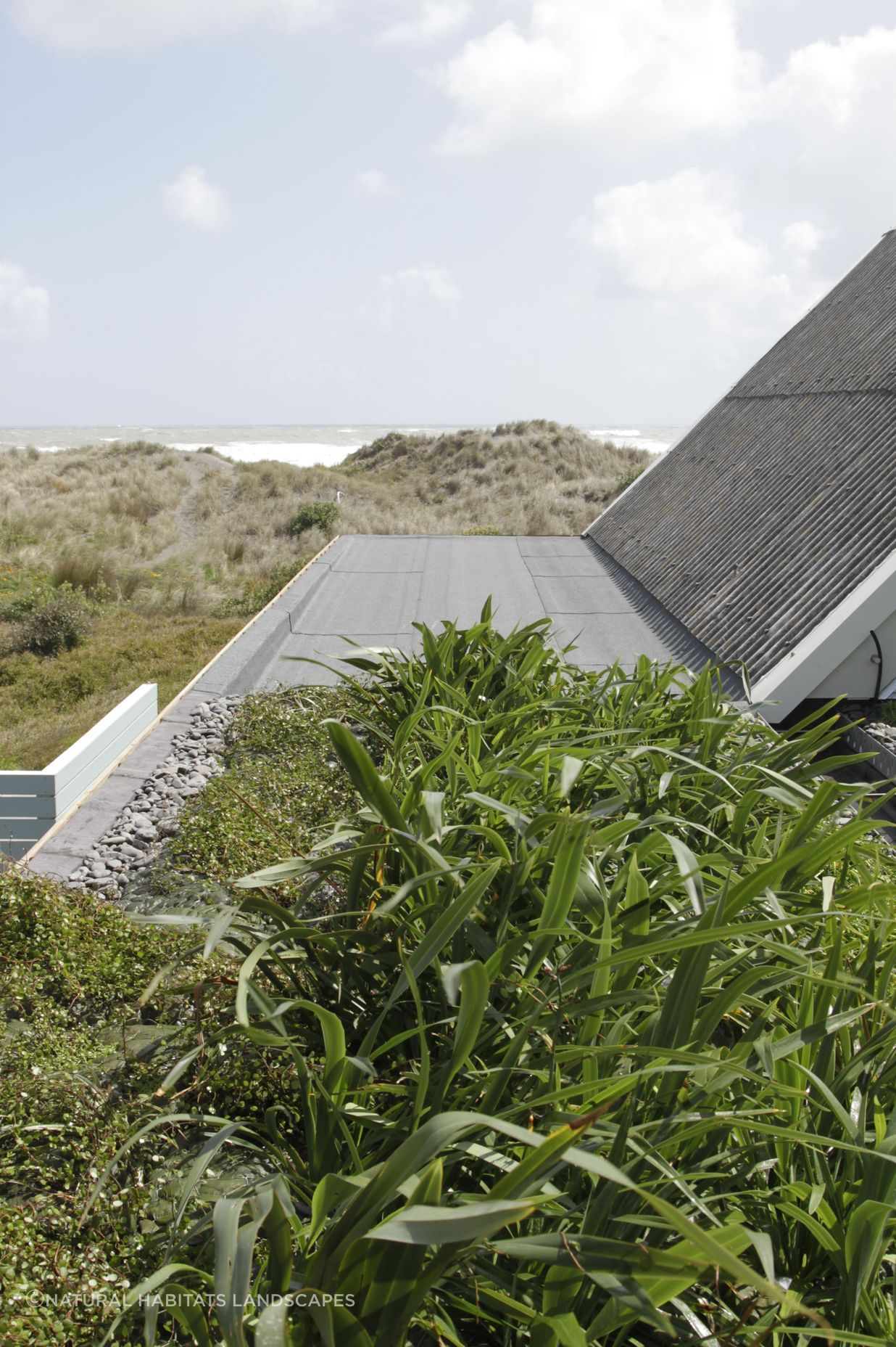 Port Waikato Home Green Roof