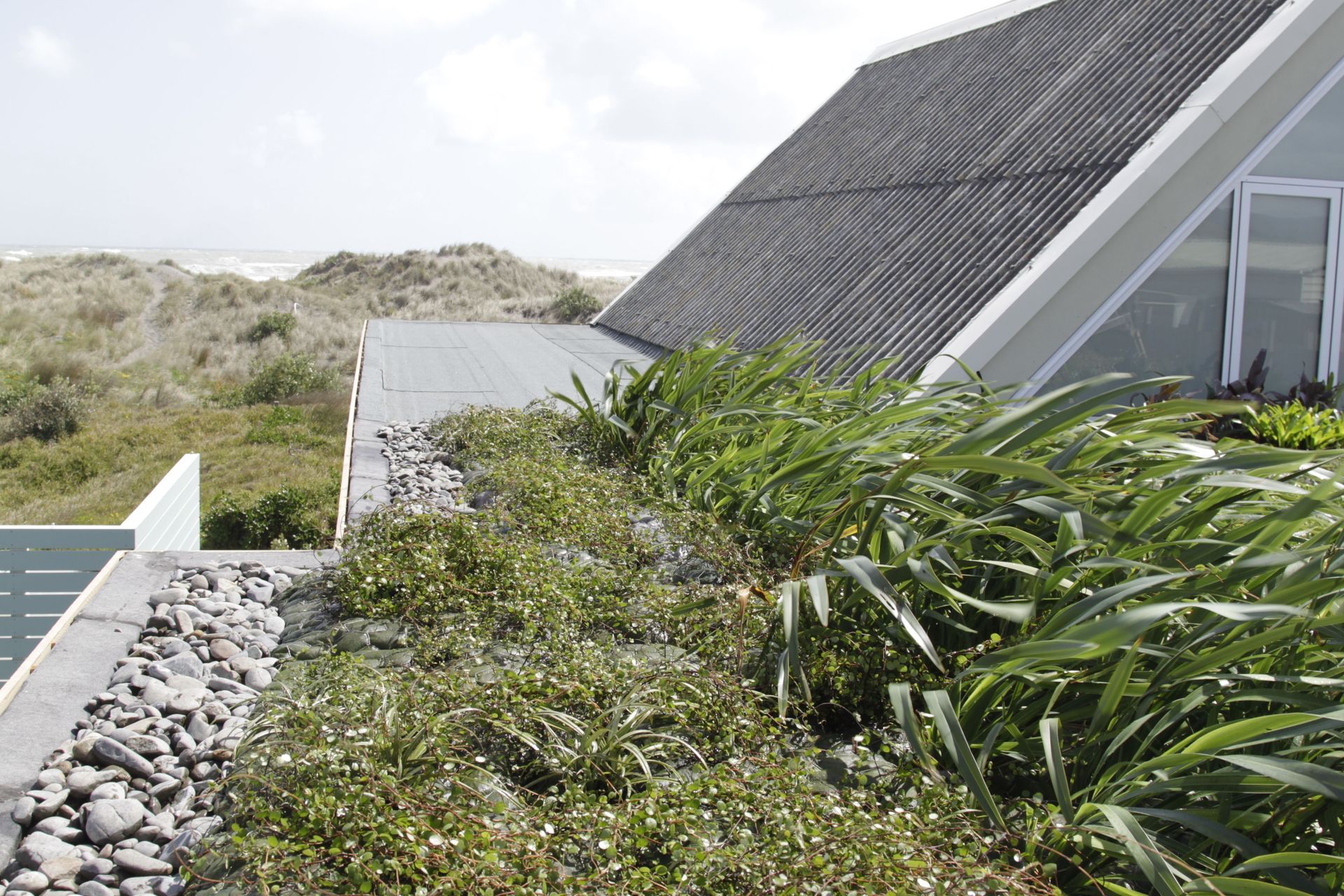 Port Waikato Home Green Roof