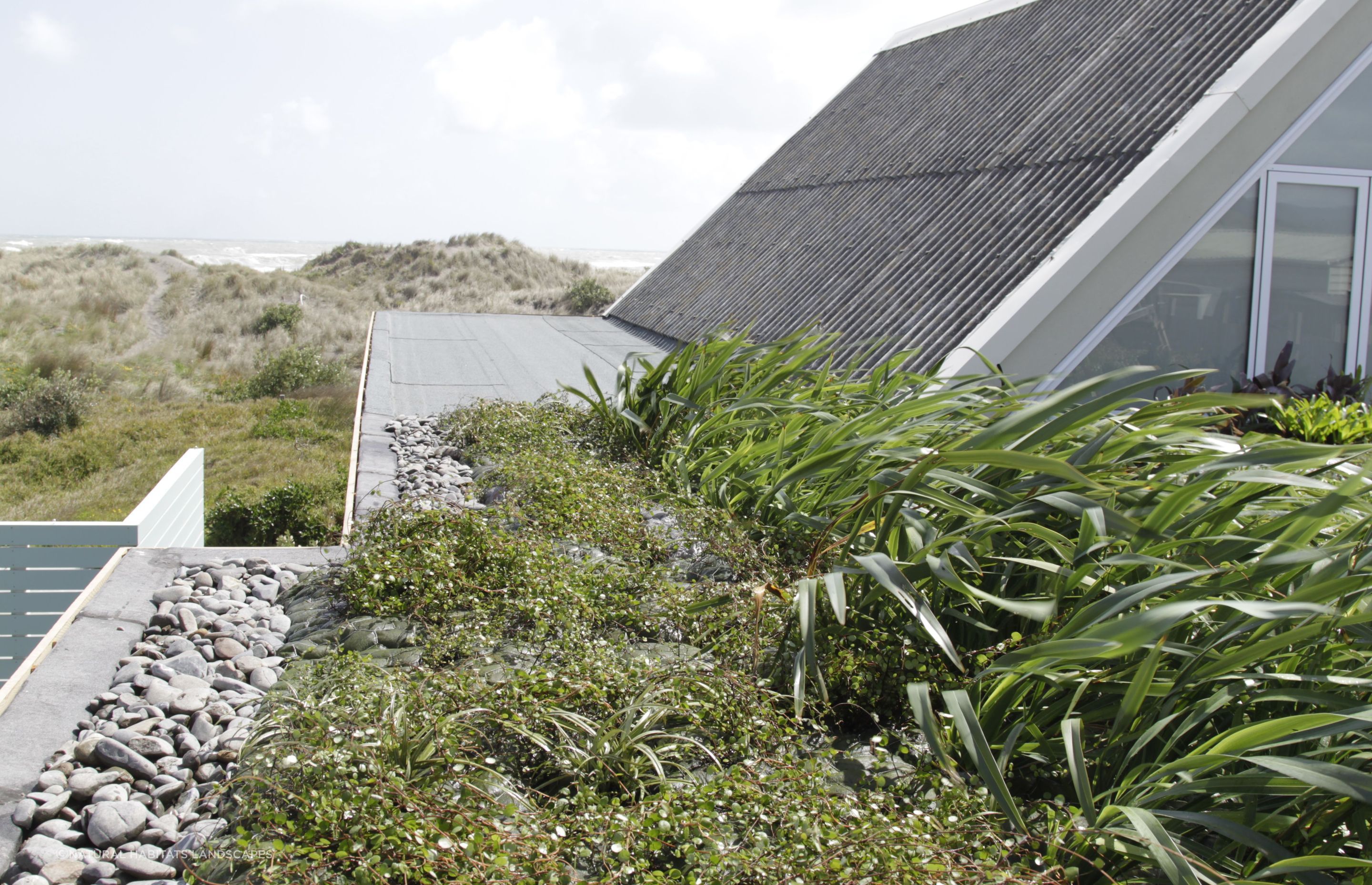 Port Waikato Home Green Roof