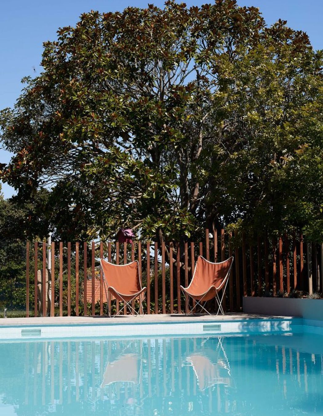 The Mod &amp; the Rocker