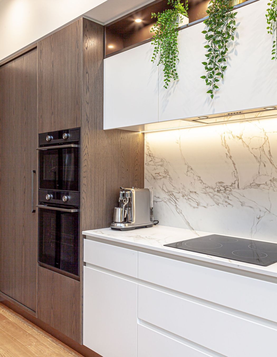 Devonport Kitchen by Jane Fergusson