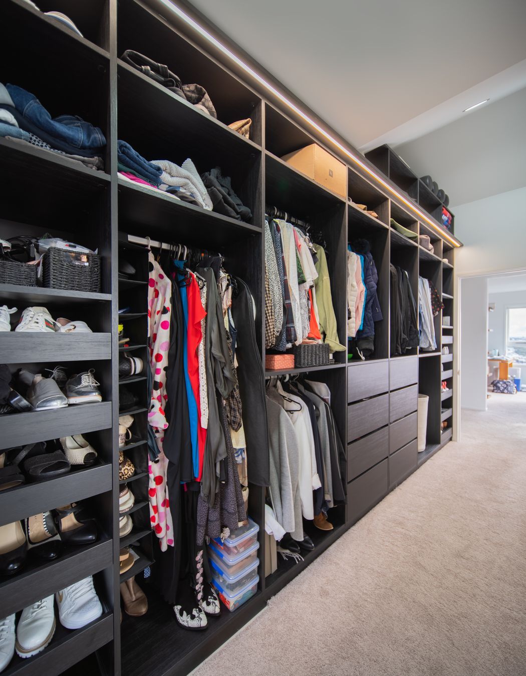 Grampian Rd, St Heliers