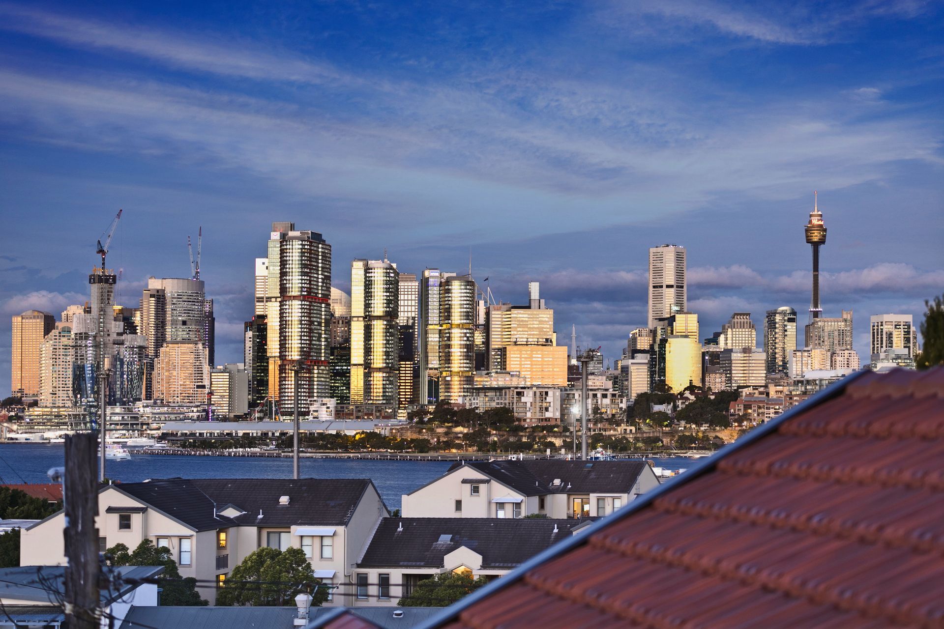 ##Rozelle