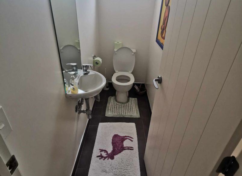 Elegant Renovation: Main Bathroom & Ensuite Makeover