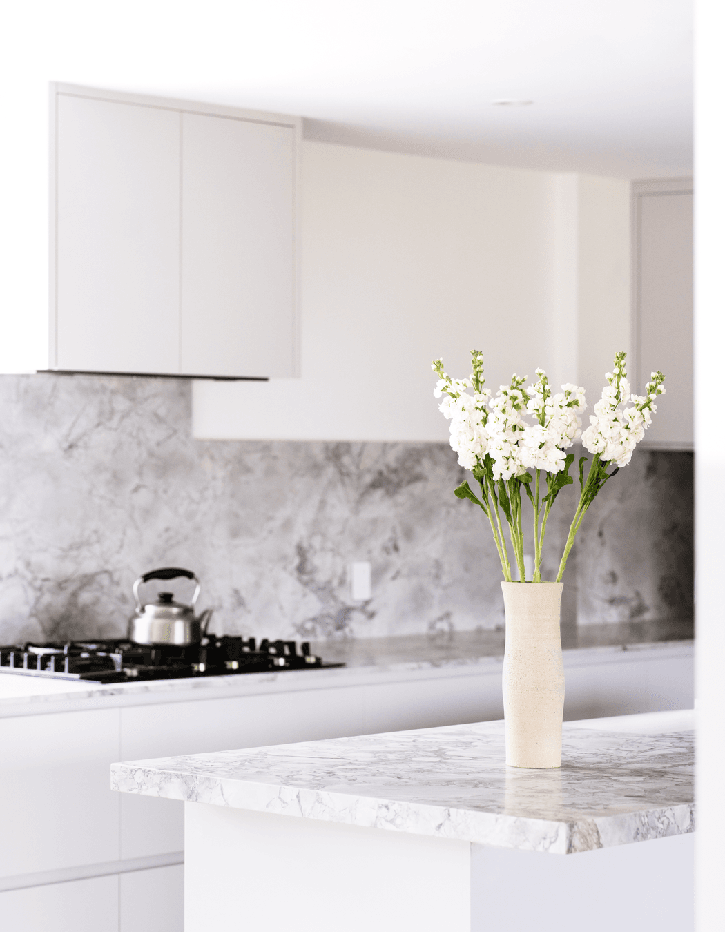 Glebe Penthouse Renovation
