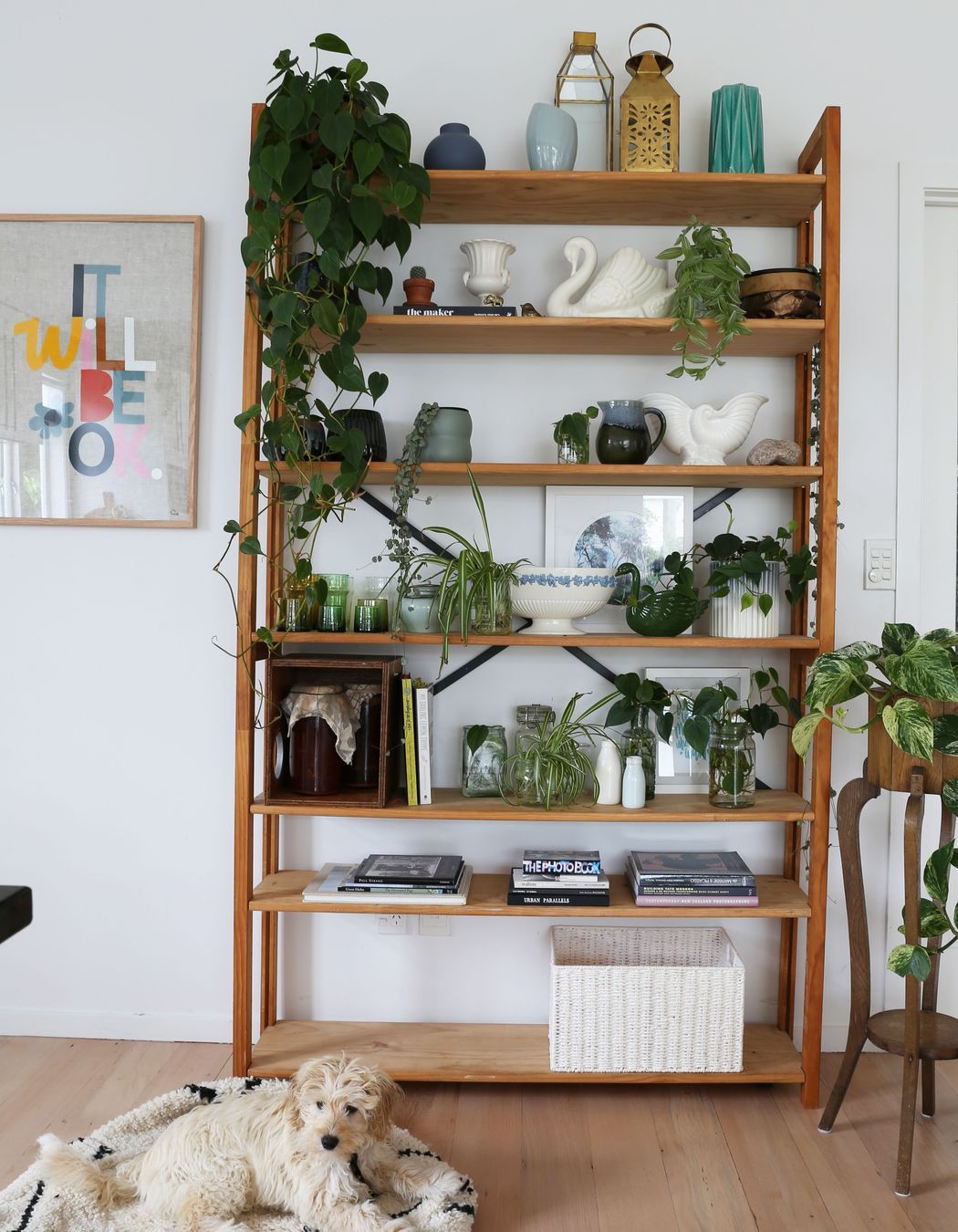 Mt Eden Renovation