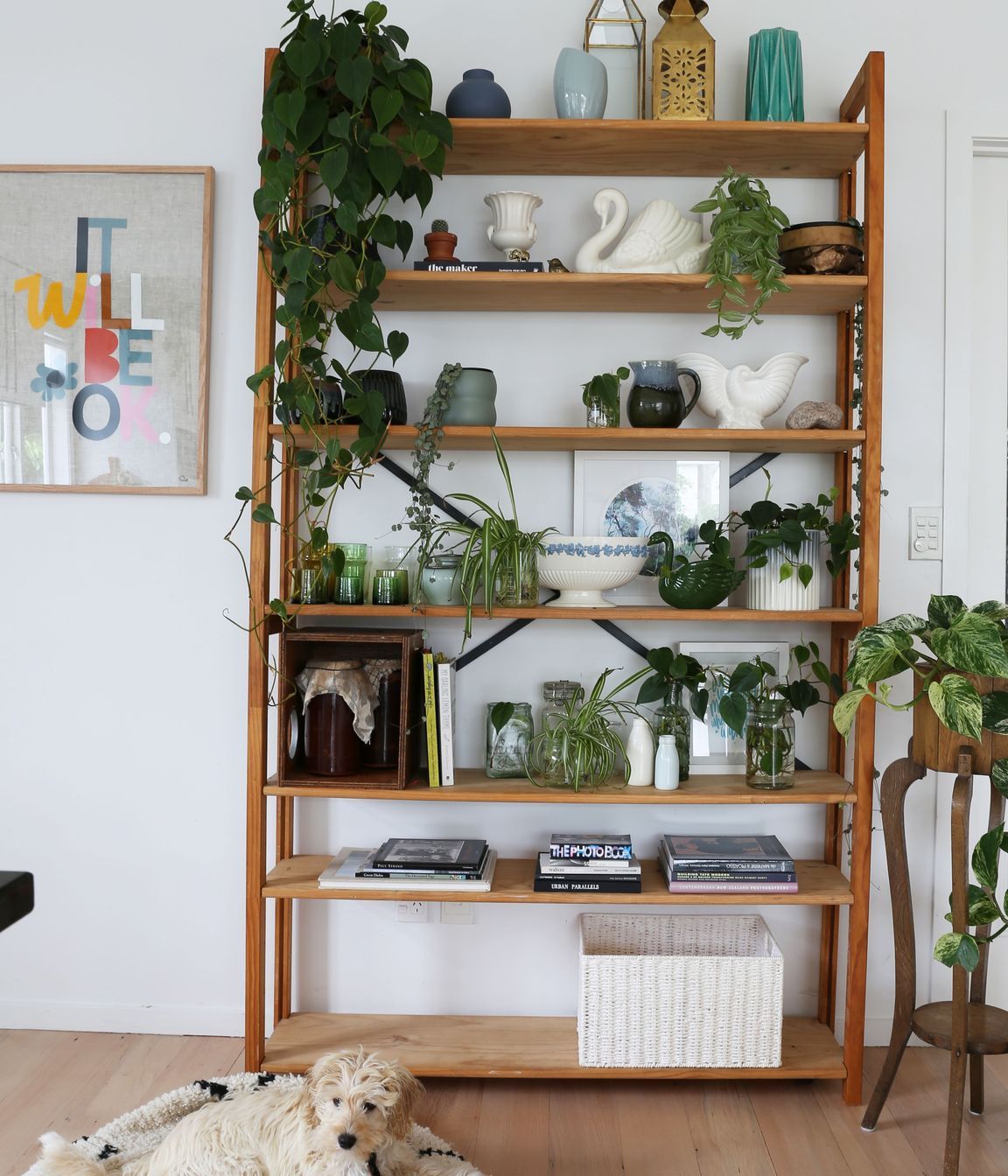 Mt Eden Renovation