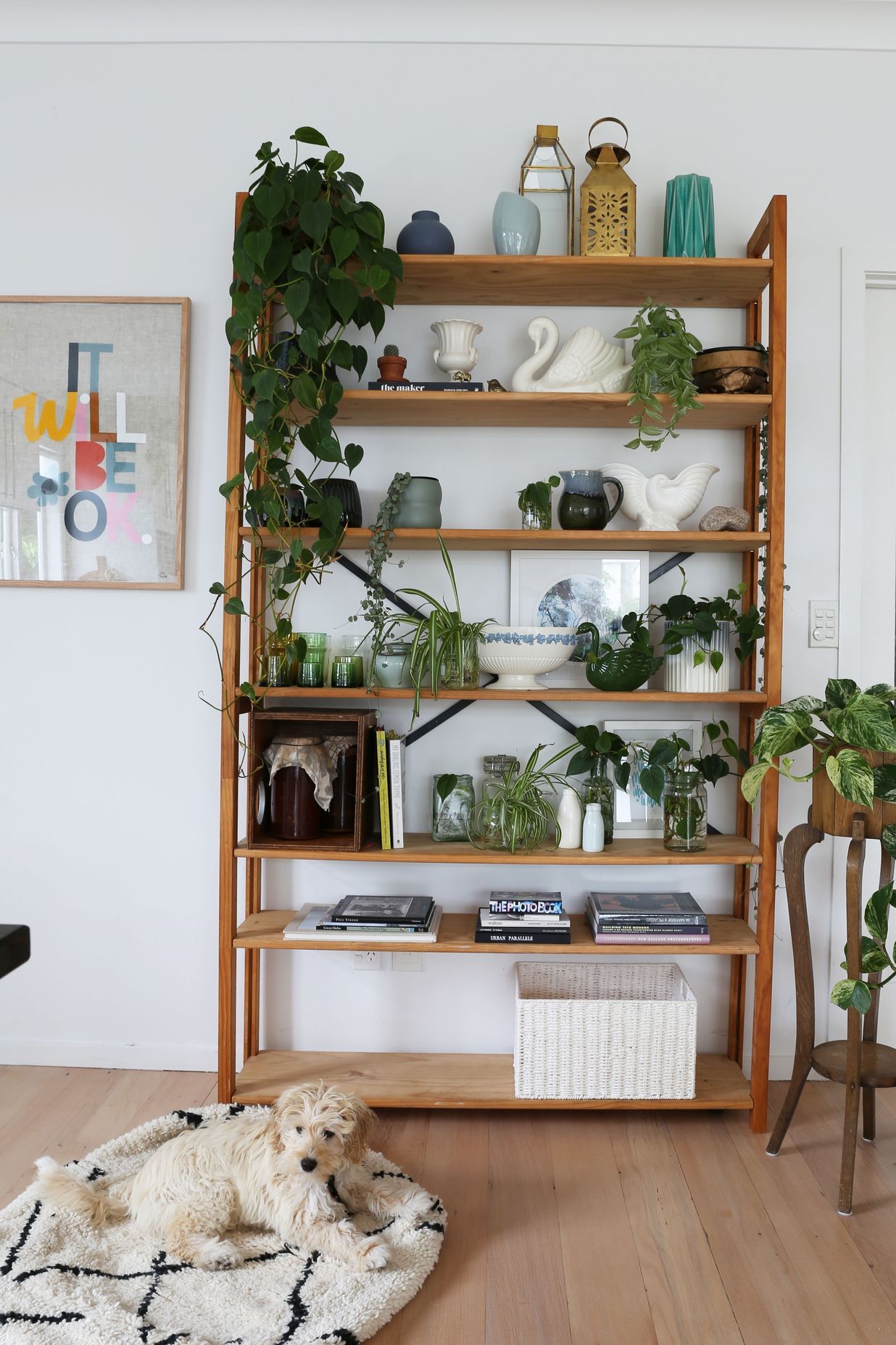Mt Eden Renovation
