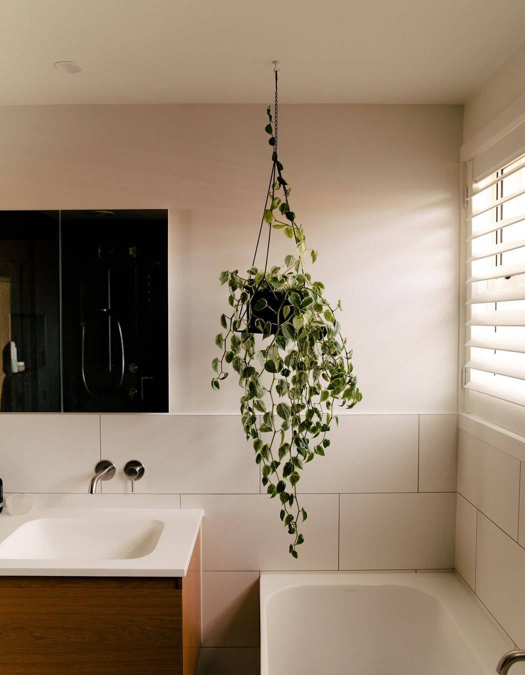 Castledine Renovation