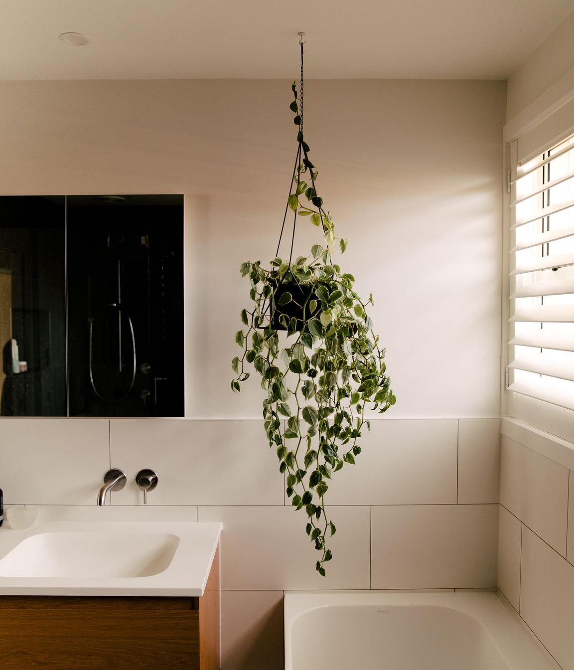 Castledine Renovation