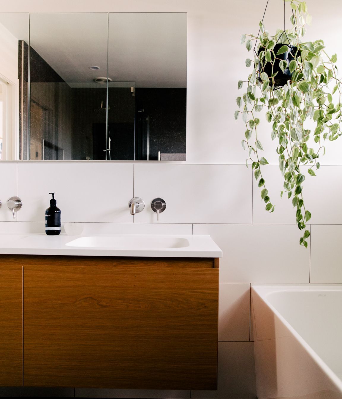 Castledine Renovation