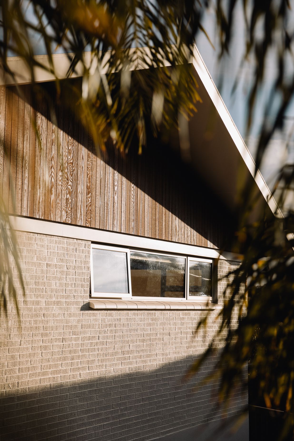 Pickwick, Auckland