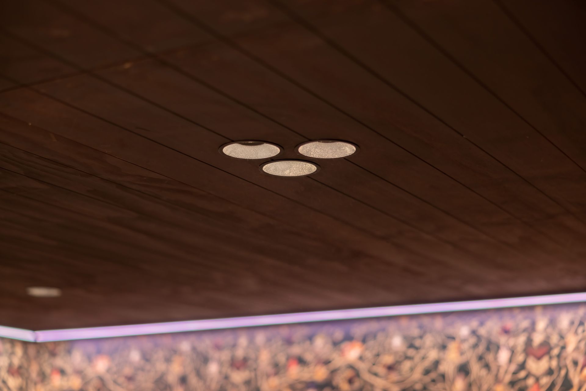 ZELA Deep Tilt SLDL221T