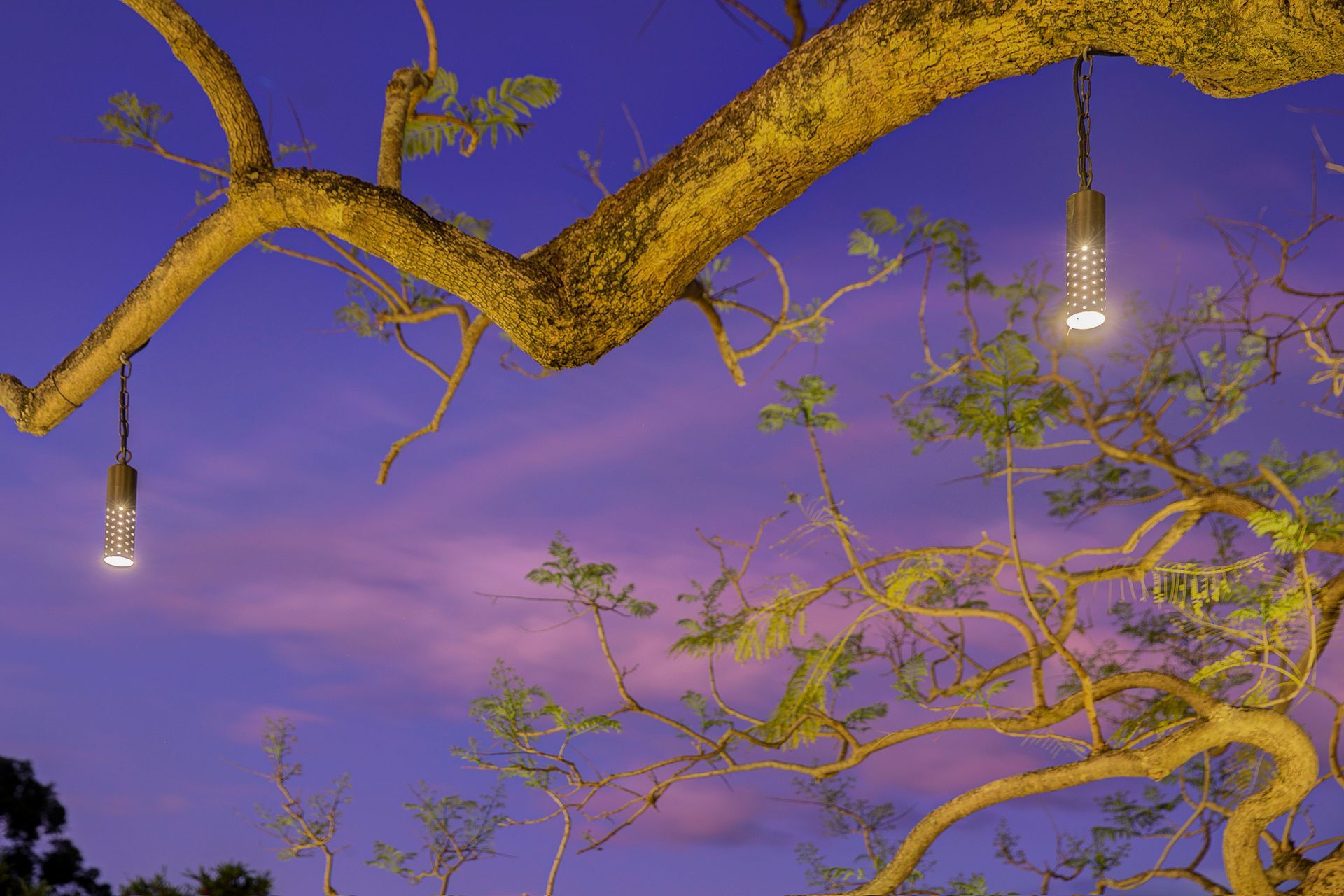 10 Wallaroy Rd, Woollahra