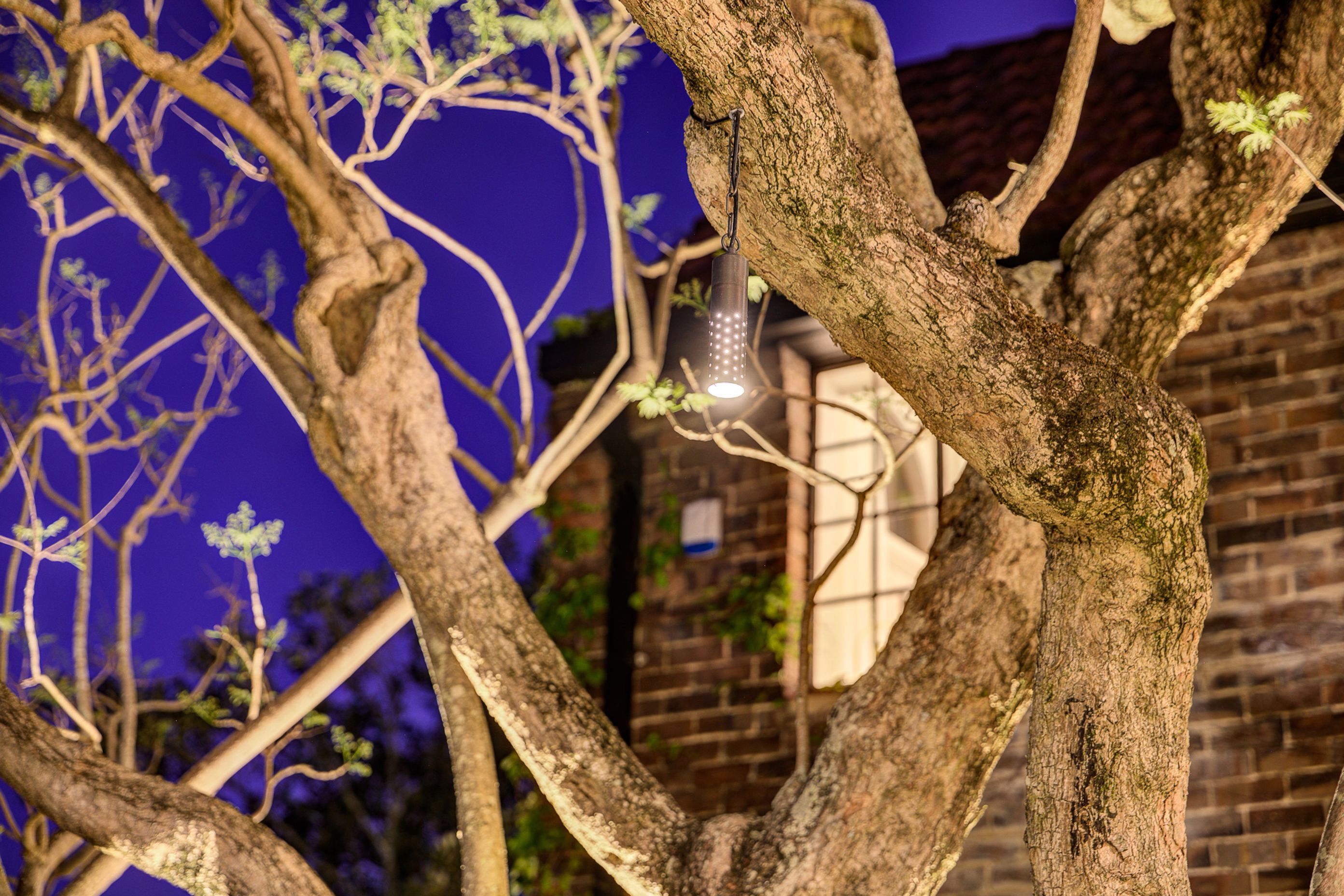 10 Wallaroy Rd, Woollahra