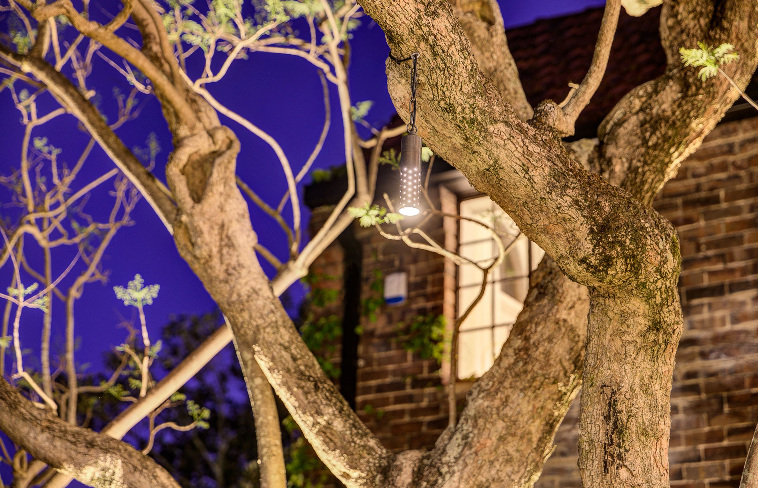10 Wallaroy Rd, Woollahra