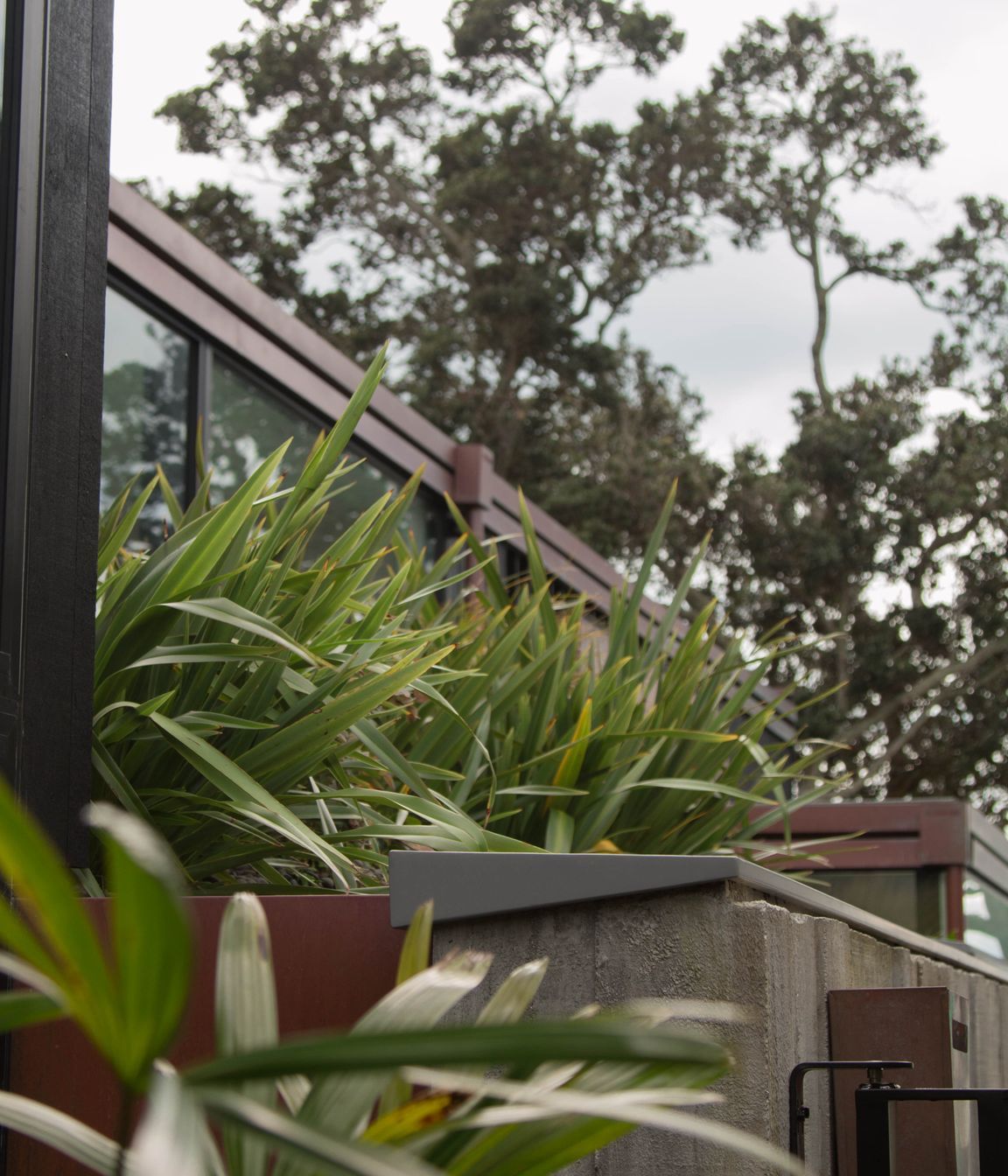 Takapuna Green Roof